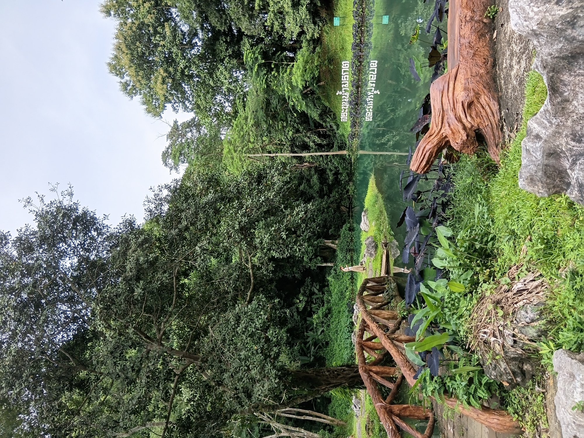 Exploring a lush forest park with ponds and bridges in Mae Sai