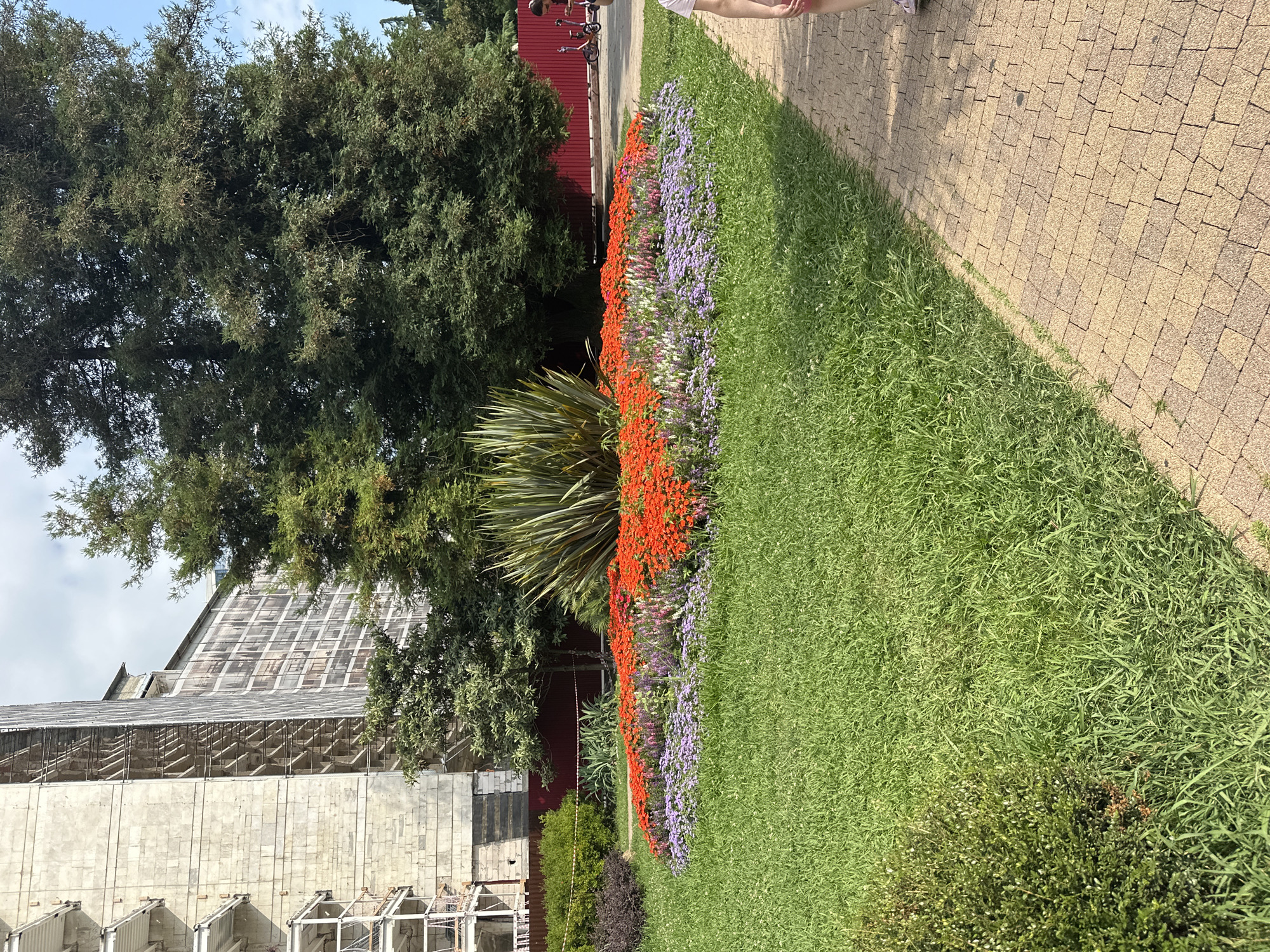 Strolling Sochi's parks and gardens on a summer afternoon