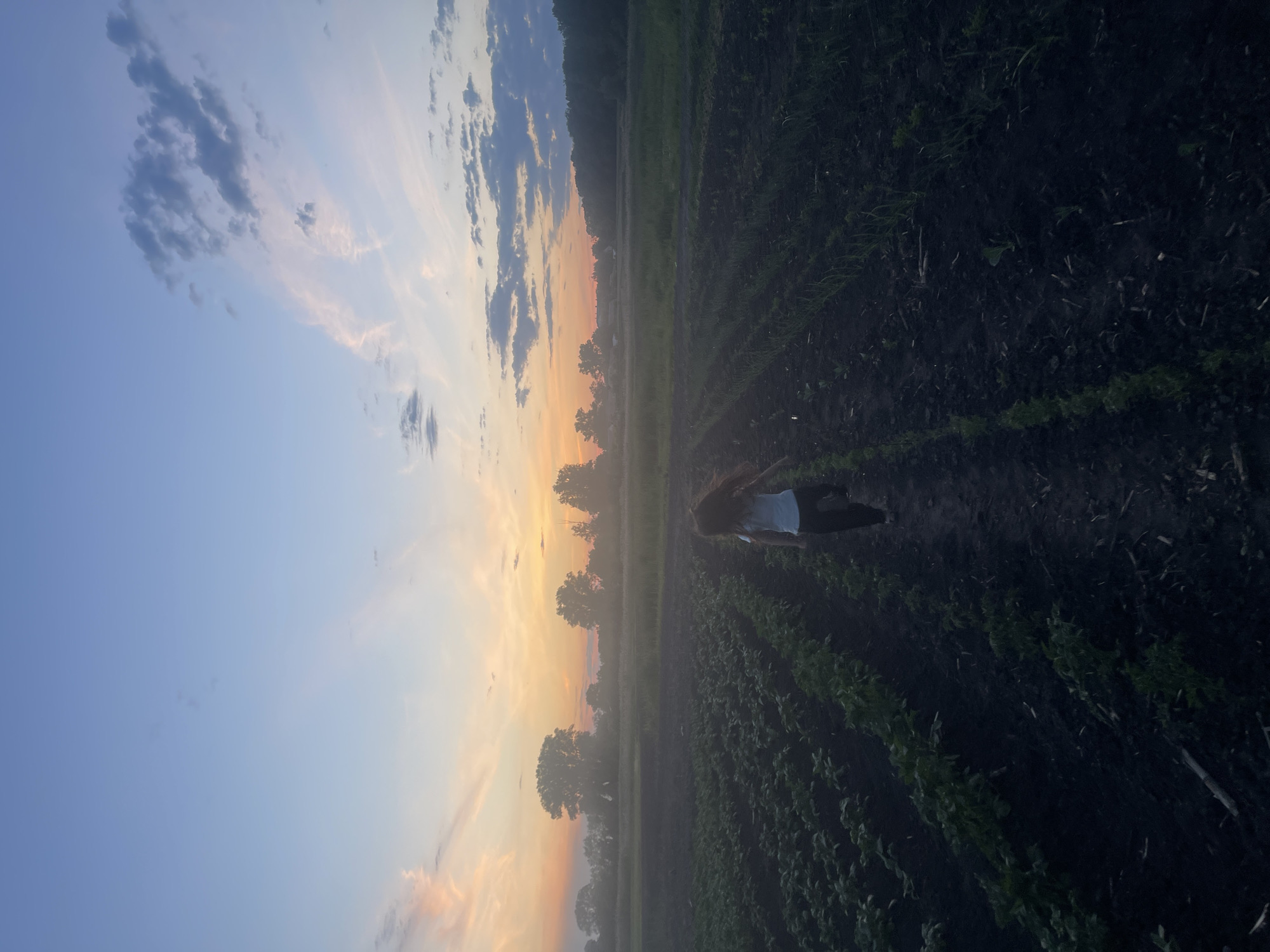 Rural twilight scenes documented across two-hour period June 2026