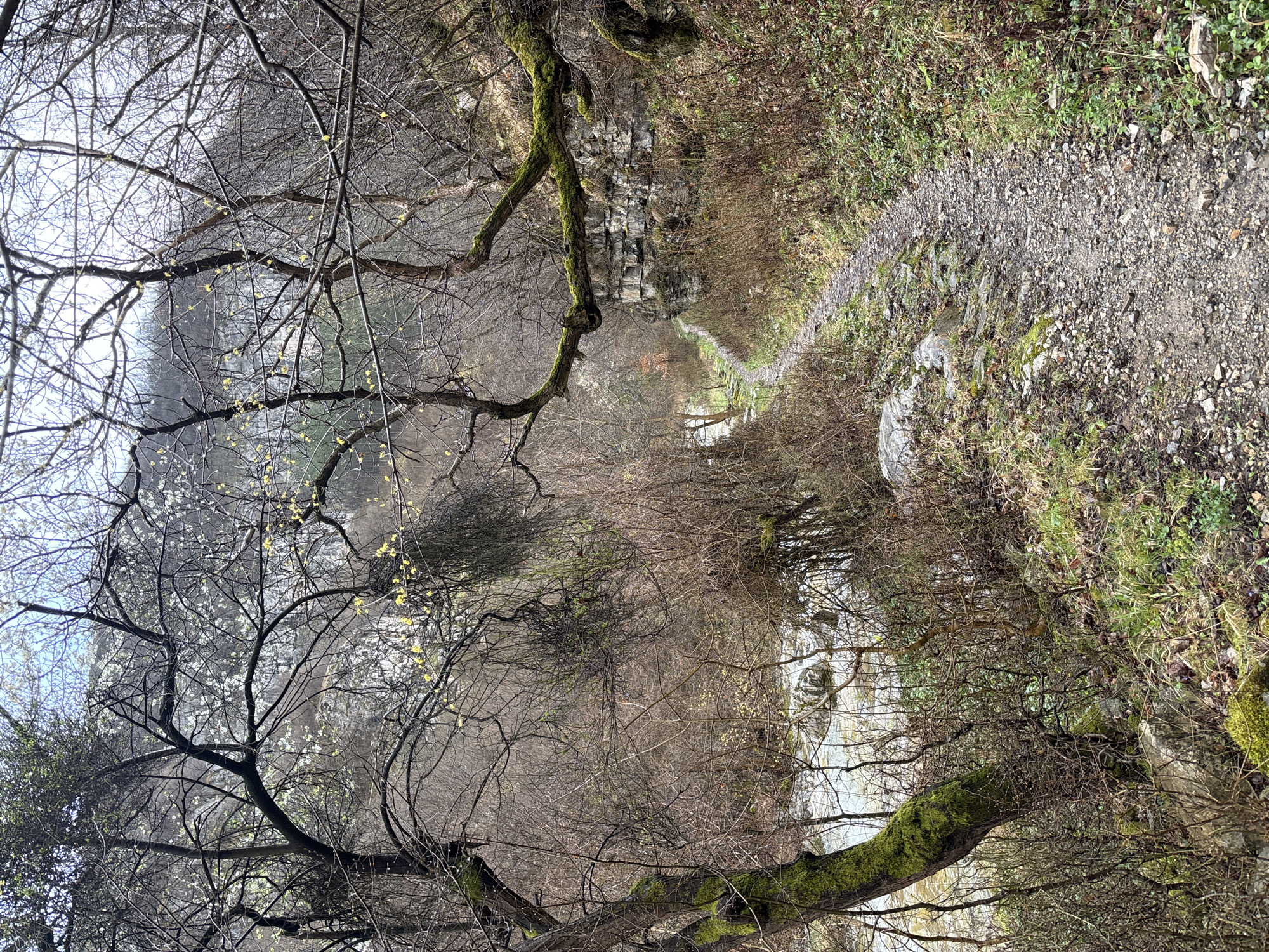 Rural path documented in Gubislav, Bulgaria countryside