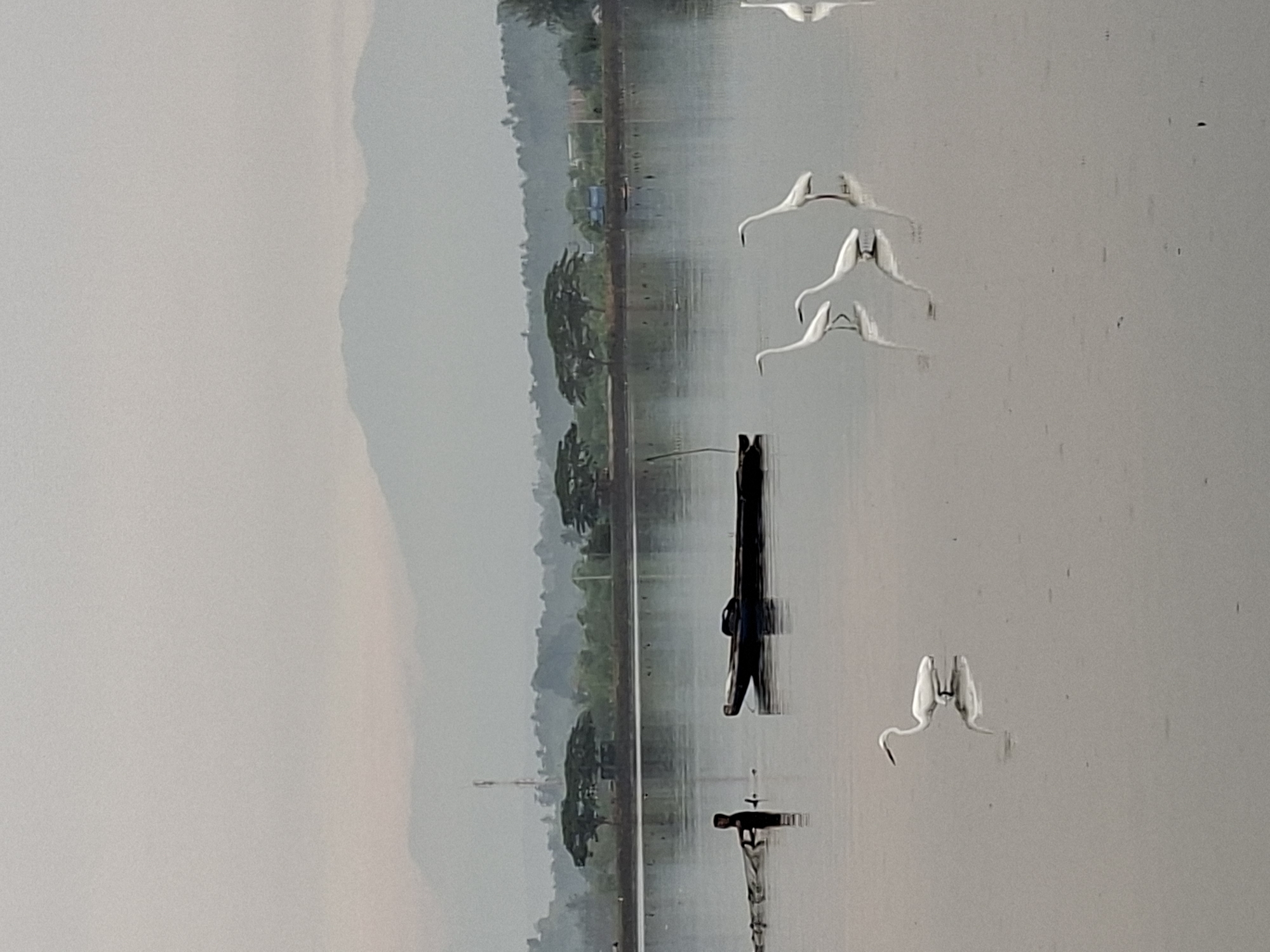 Dawn fishing scene with egrets documented in Lhokseumawe waters