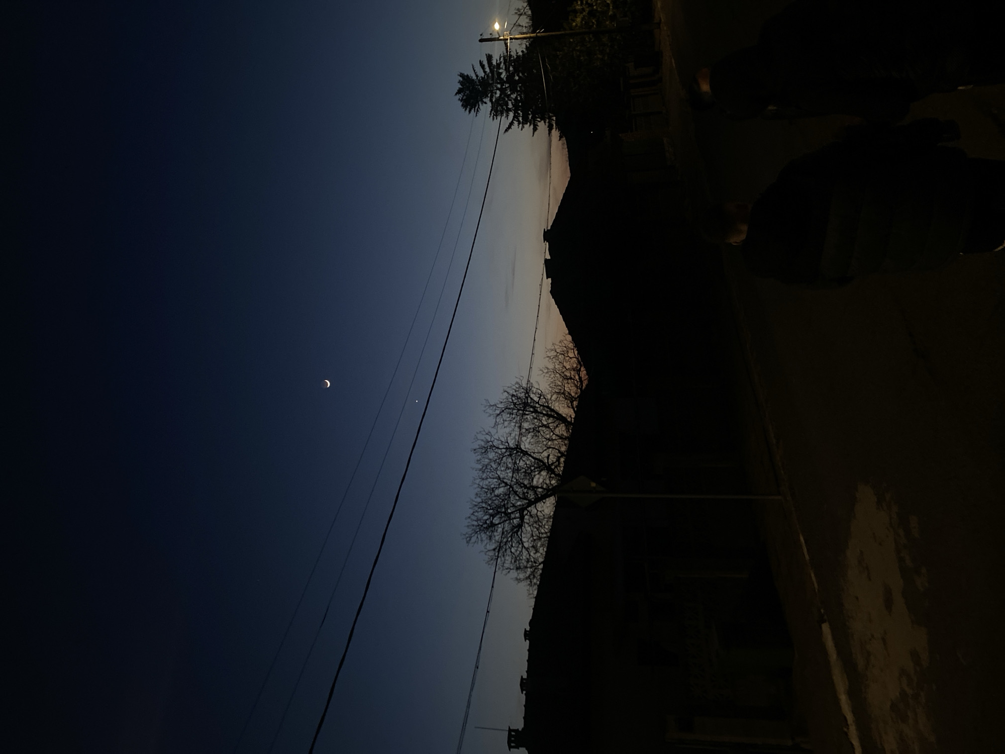 Evening life captured in Goritsa: crescent moon, birds, cats