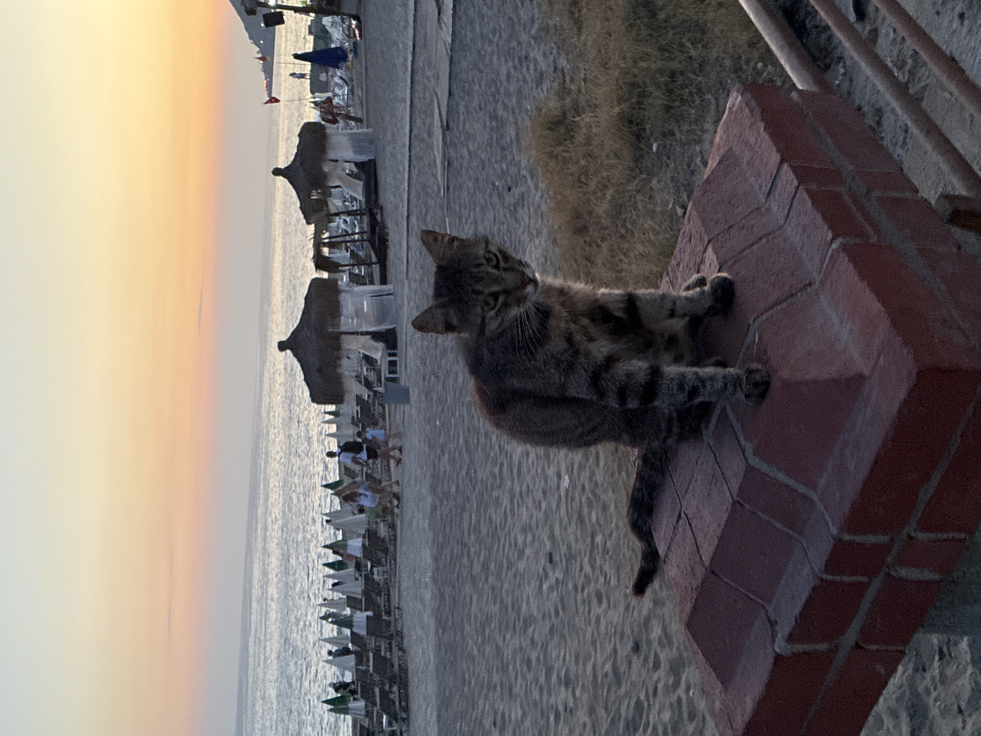 Sunset hour at Kleopatra Beach, Alanya