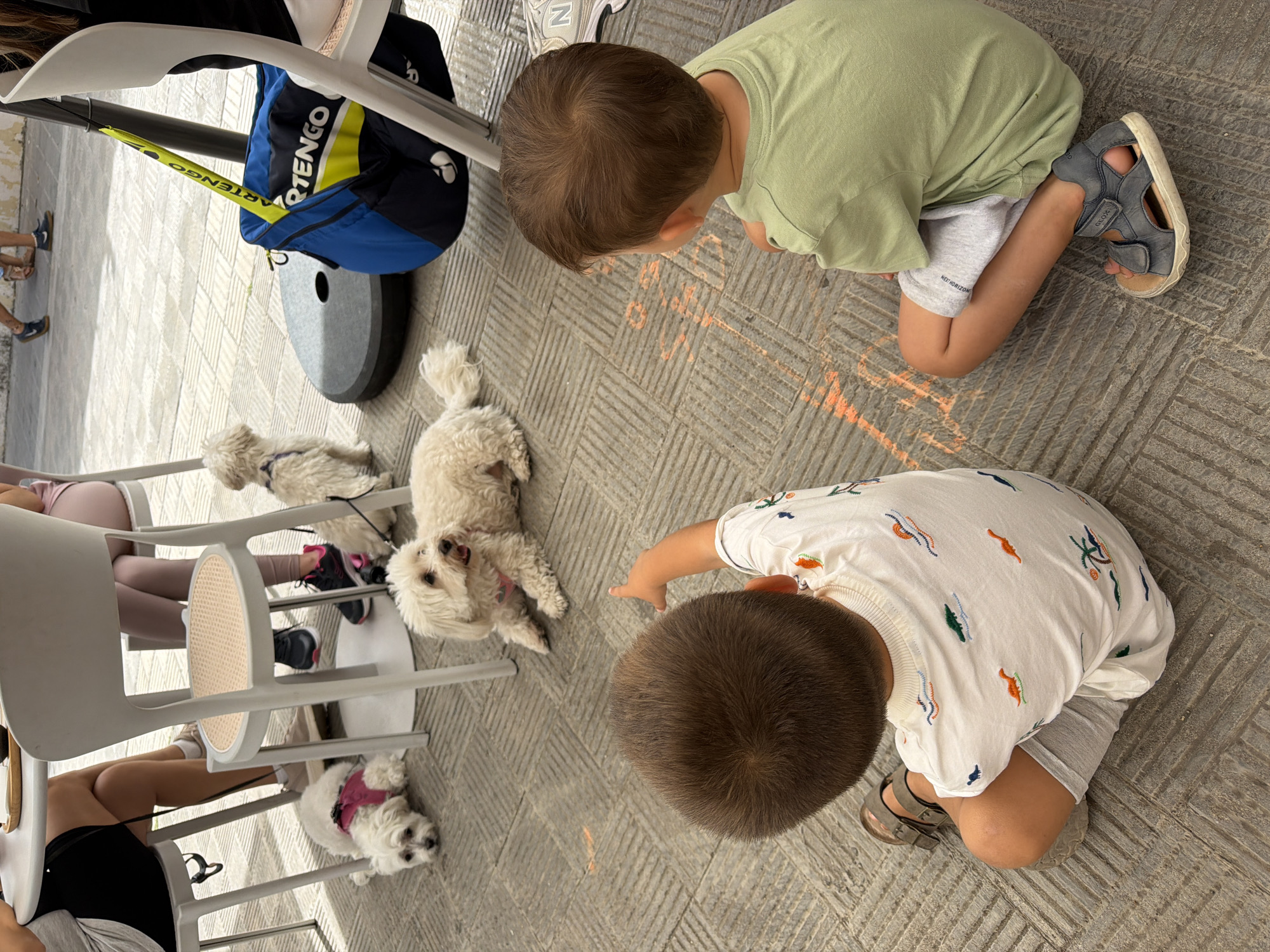 Relaxed café morning with dogs, flowers, and street life