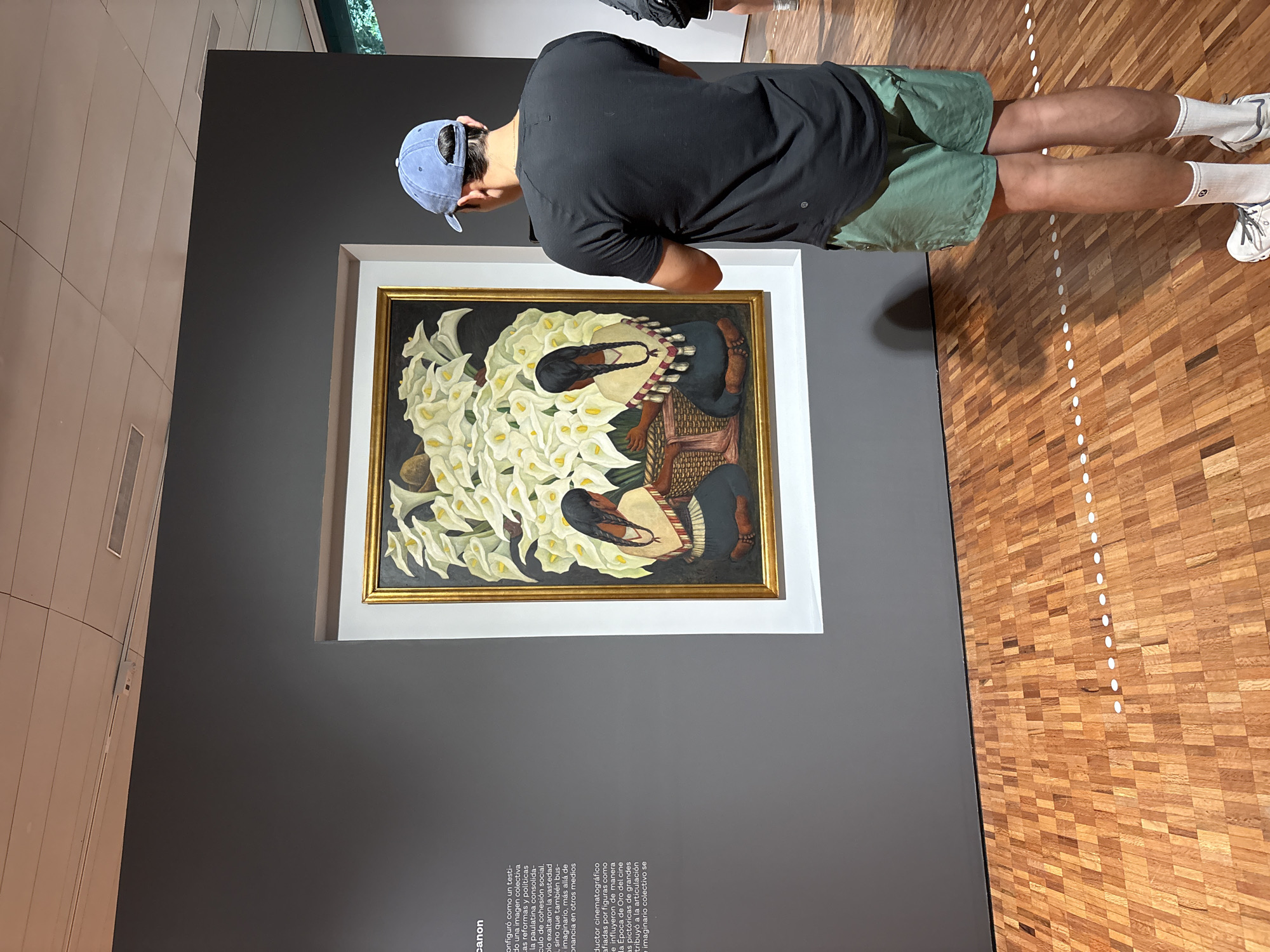 Museum visitor views painting in Mexico City