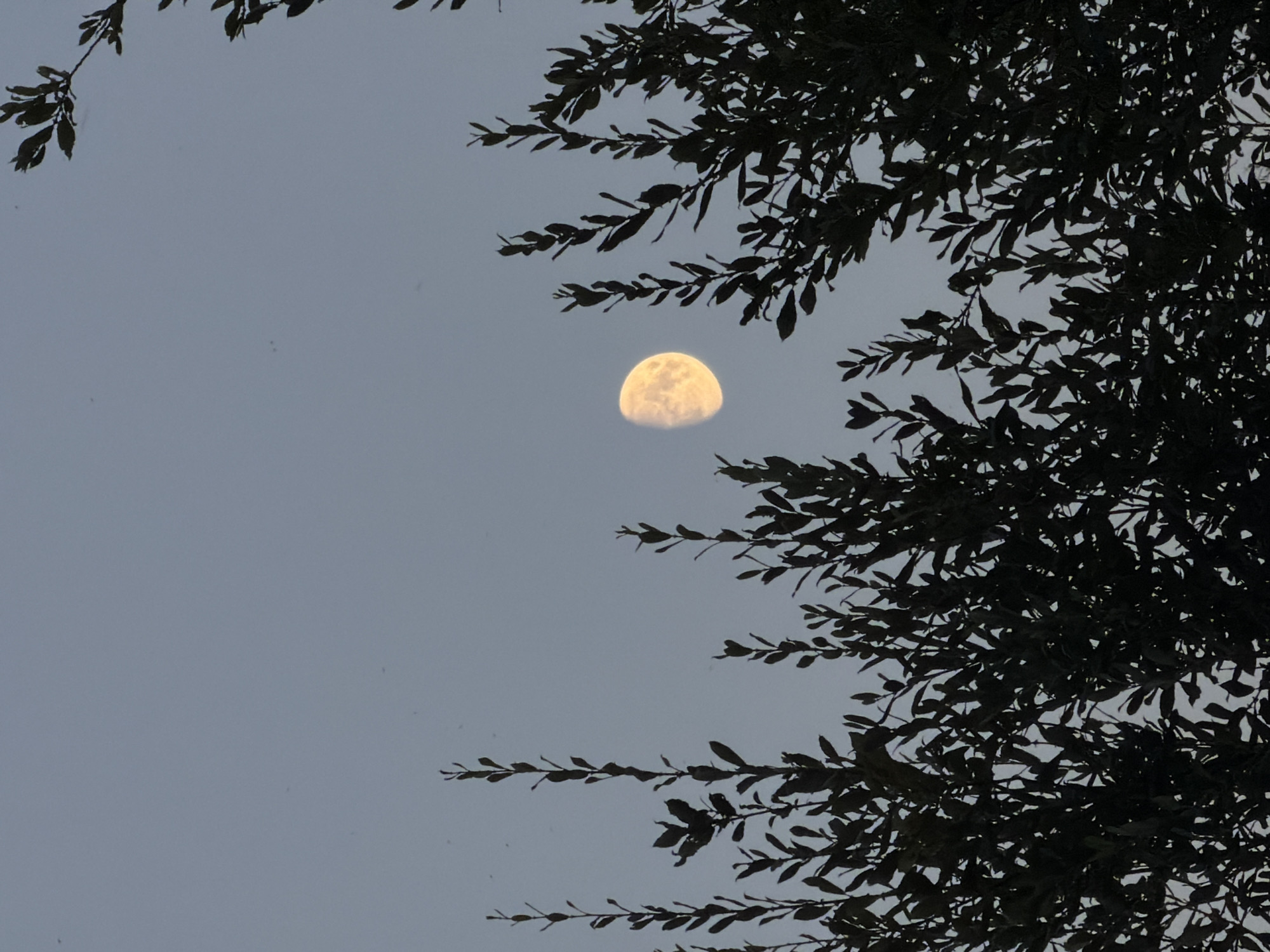 Evening stroll through Esch-sur-Alzette, streams and twilight sky