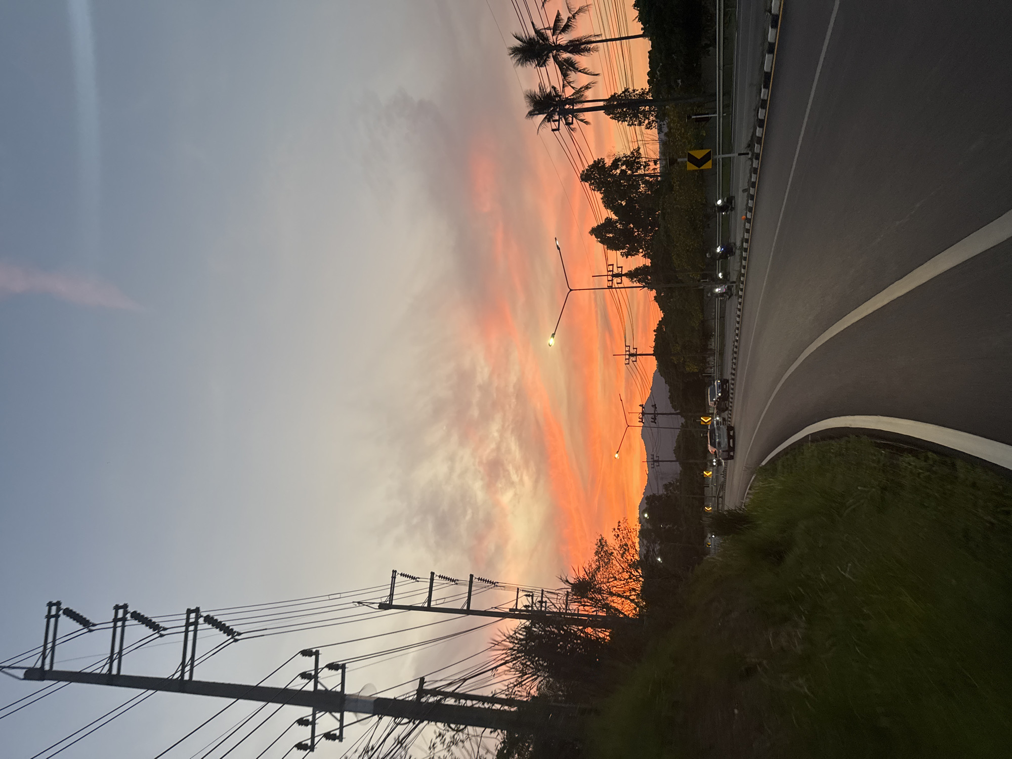 Sunset illuminates palm-lined road in Wichit, Thailand