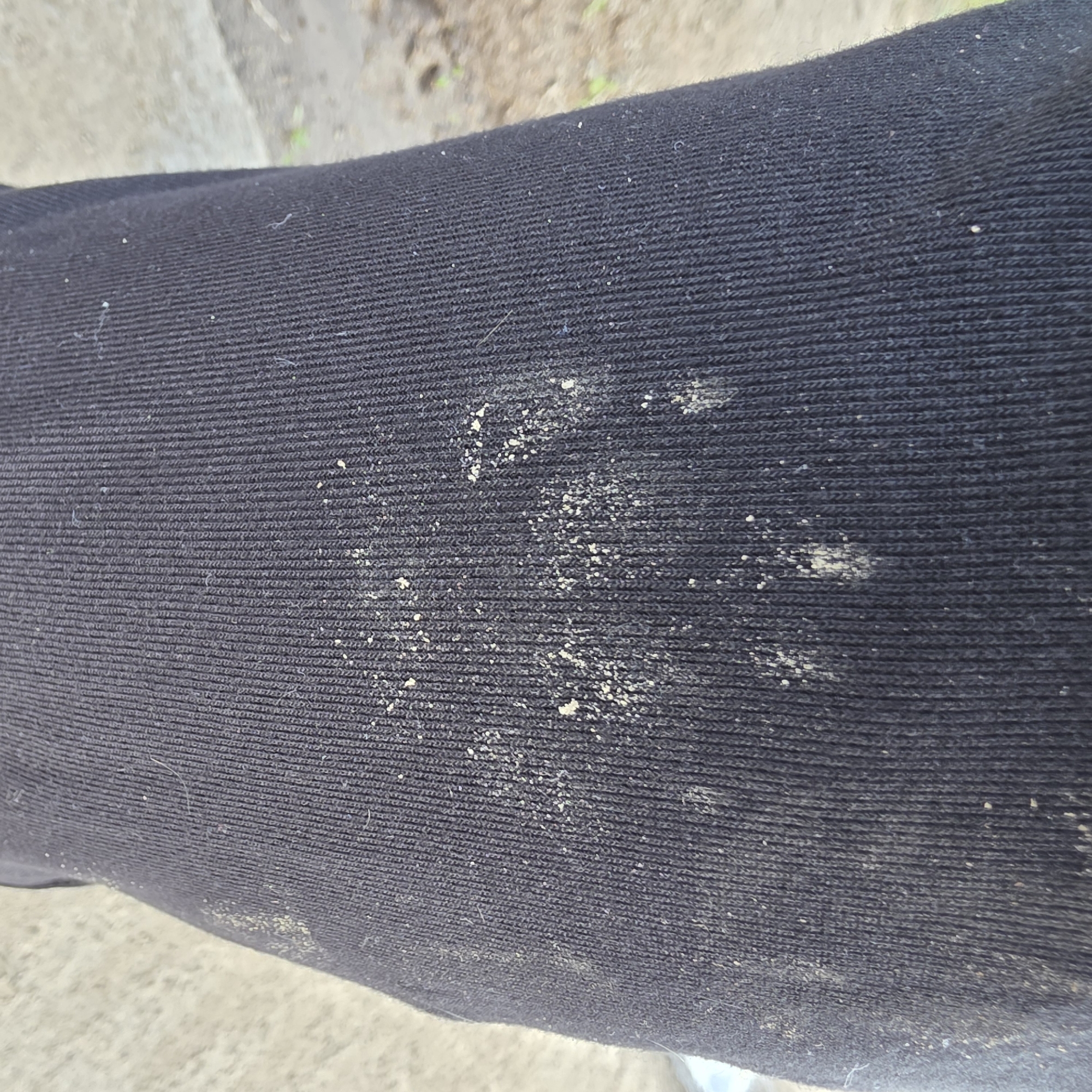 Dog walker crosses muddy meadow in Bulgarian village