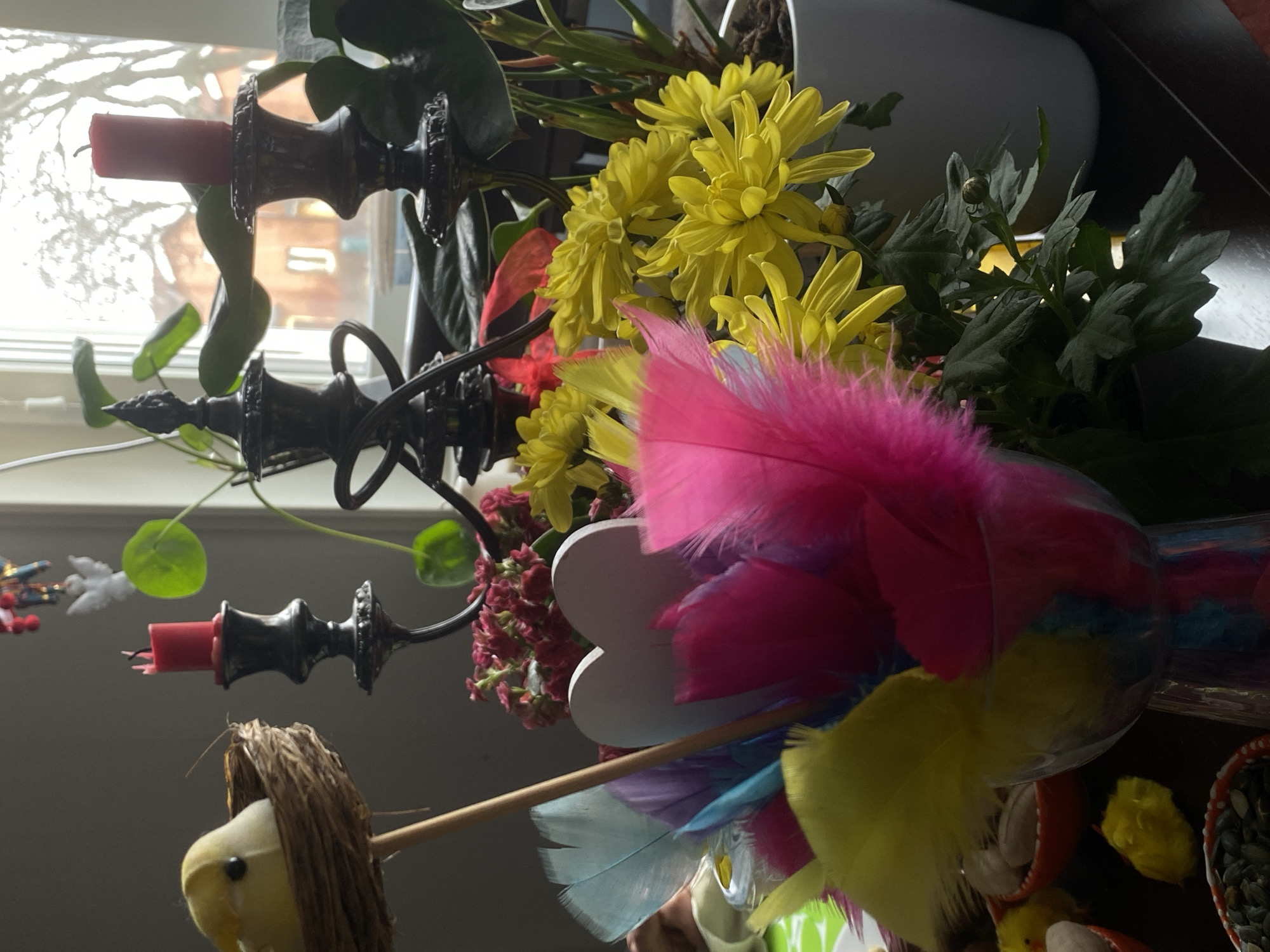 Still life with stuffed bird documented in Björklinge