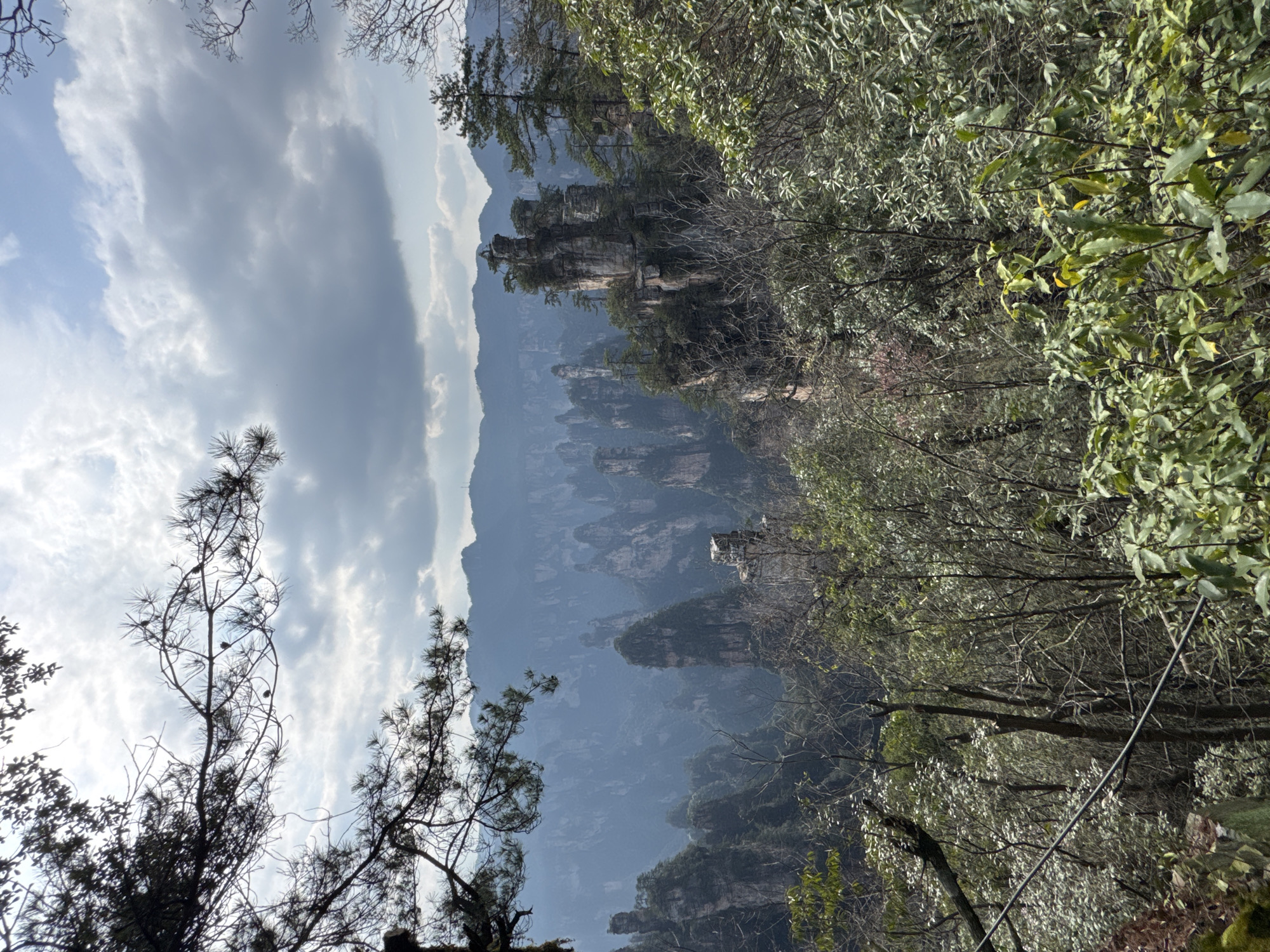 Tourist hikes Wulingyuan mountains, captures scenic views and selfies