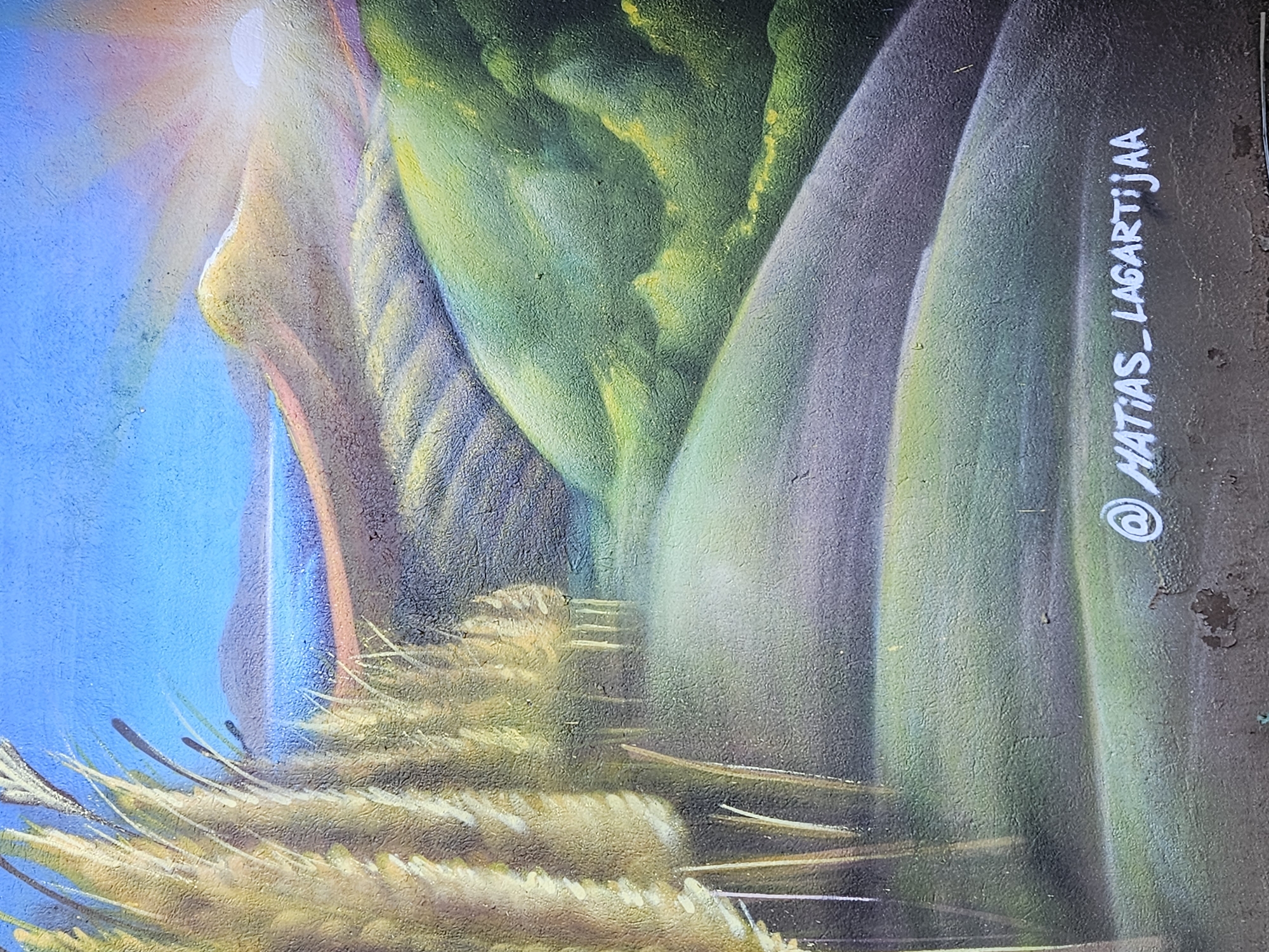 Street murals featuring nature and anatomical art spotted in Temuco