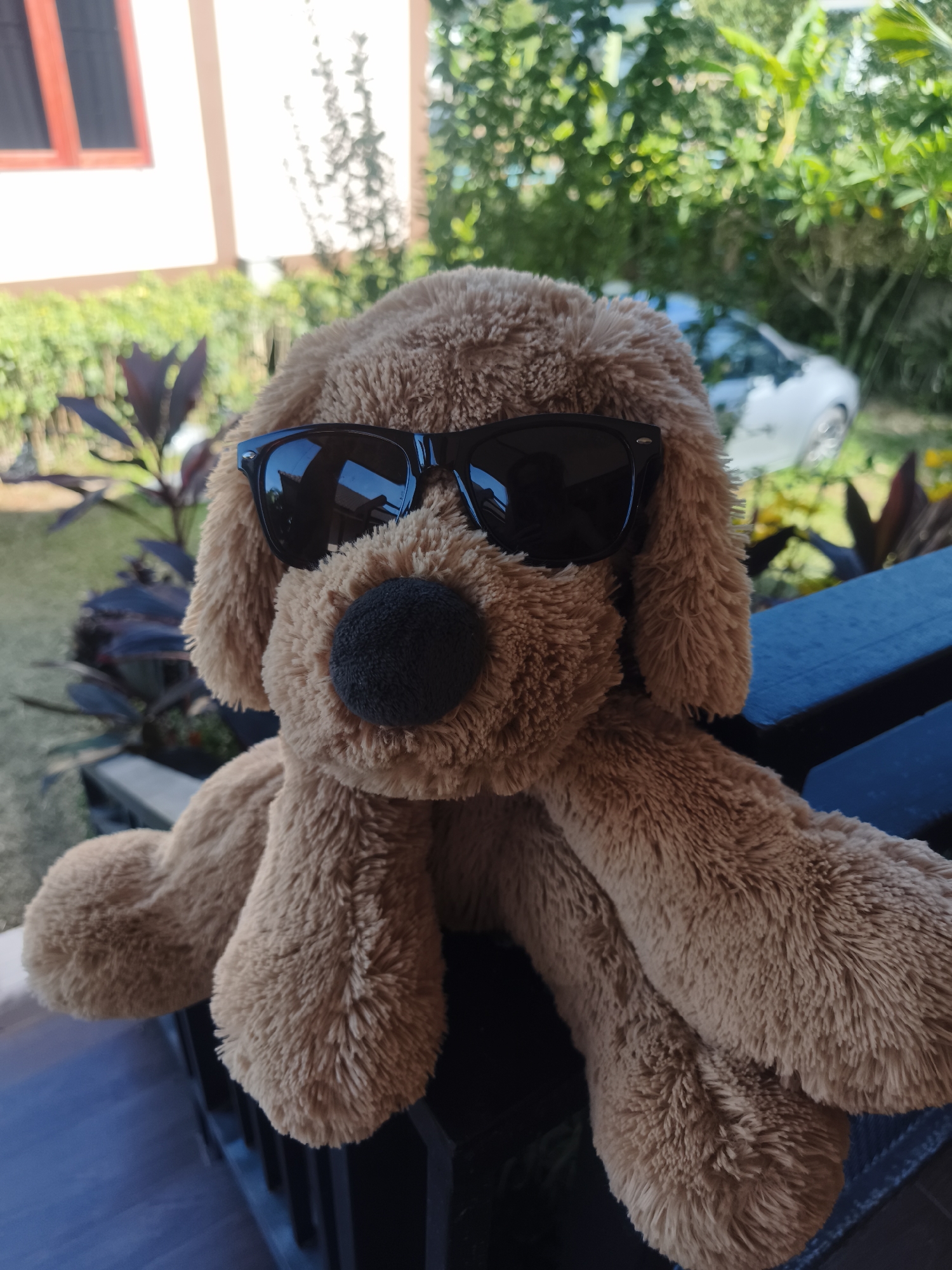 Plush dog toy modeled sunglasses in Thailand photo session