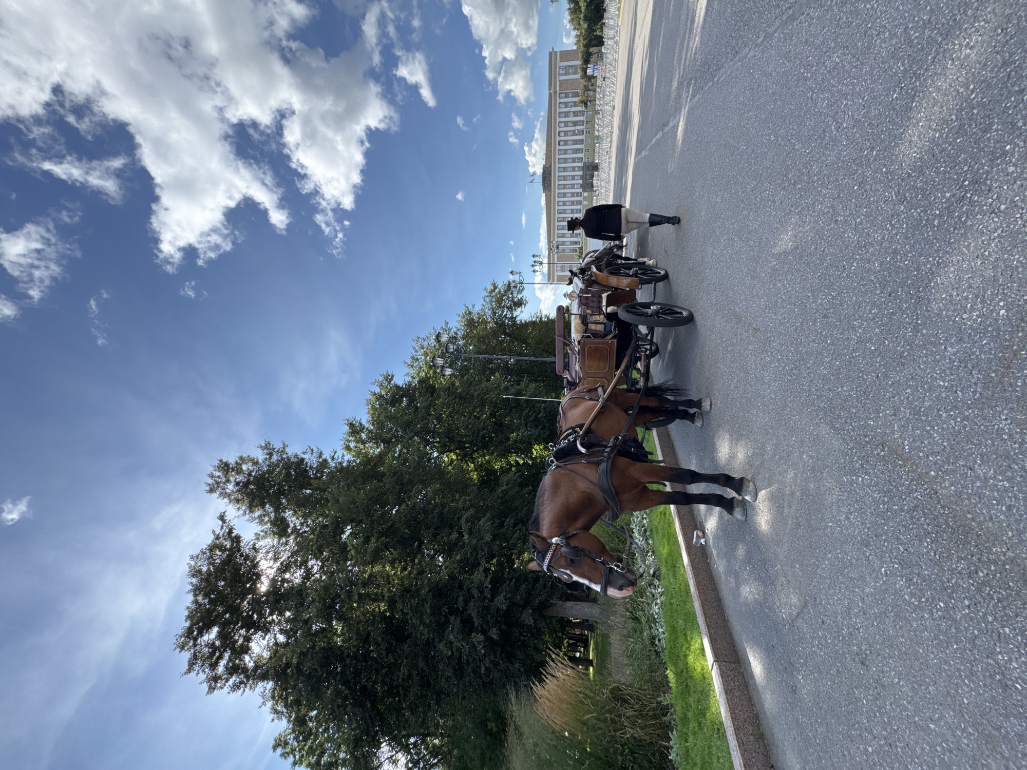 Busy summer day at the Novgorod Kremlin and park