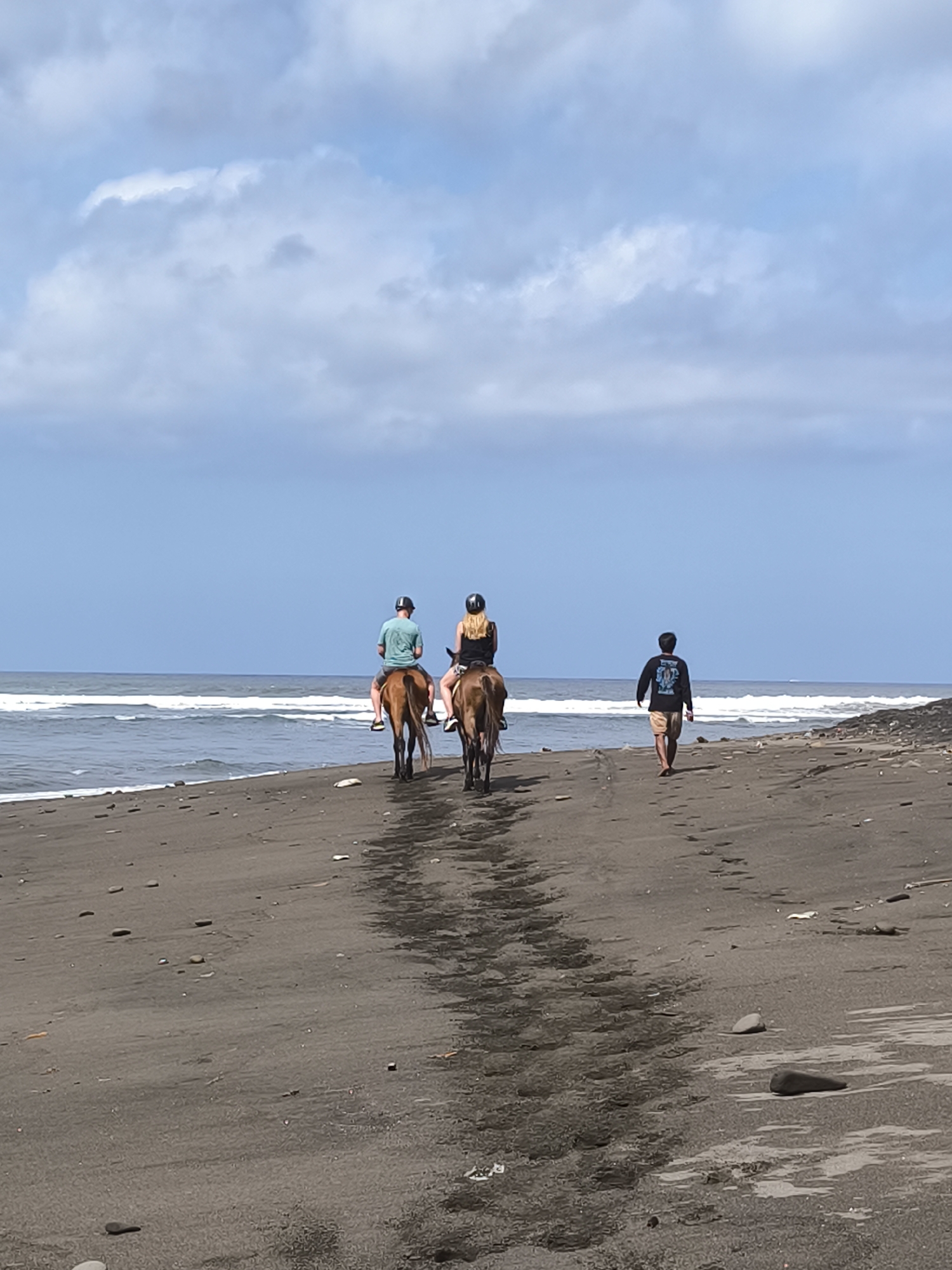 Morning scenes captured in Blahbatuh: beach riders, ancient banyan