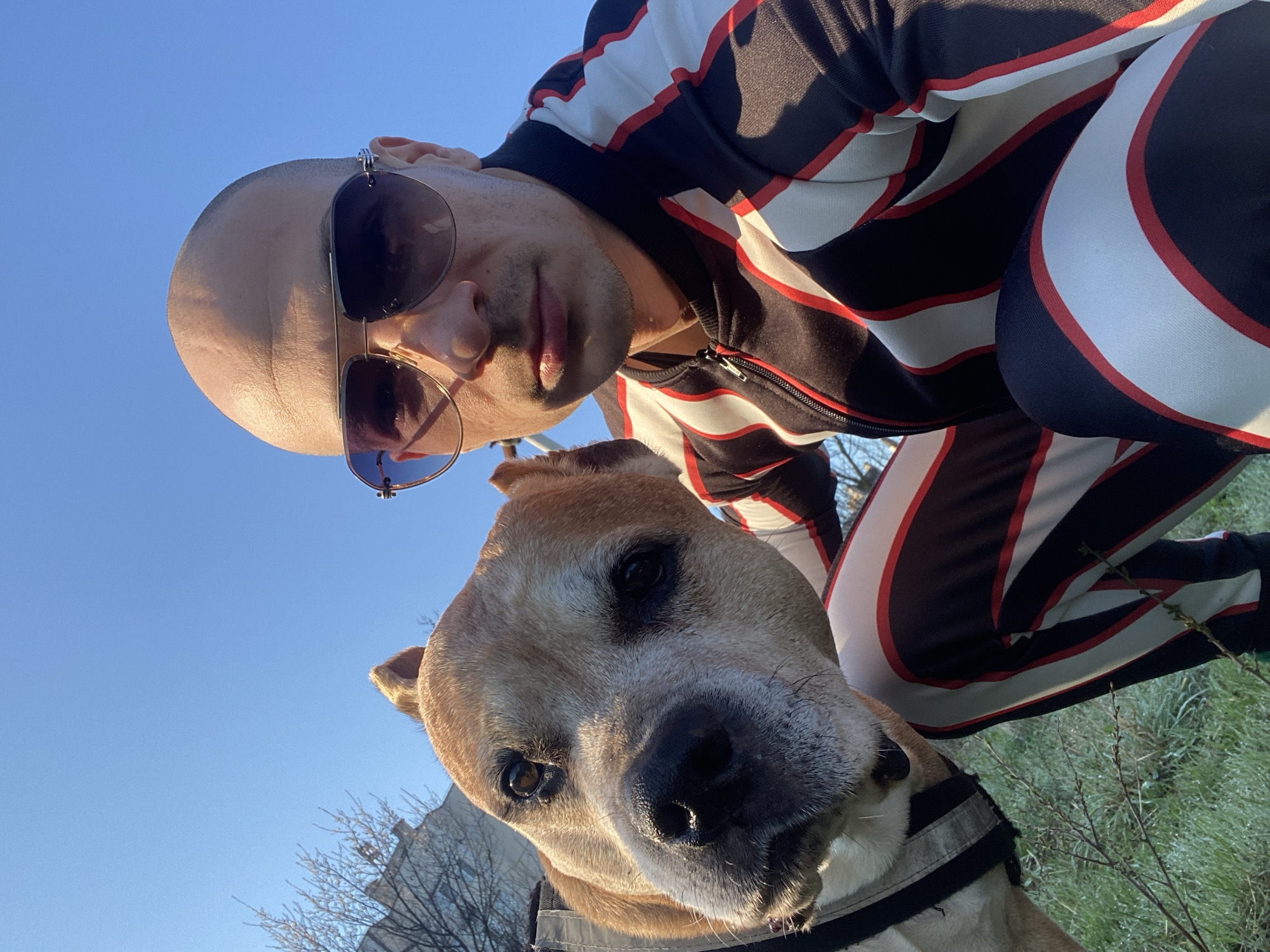 Man takes early morning selfies with dog in Pleven park