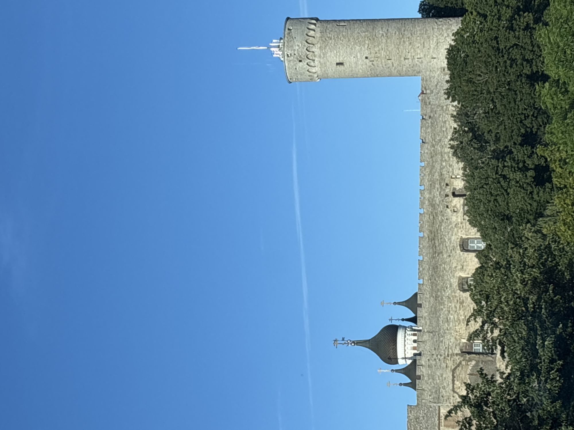 Summer evening stroll through Tallinn's landmarks, flowers, and street quirks