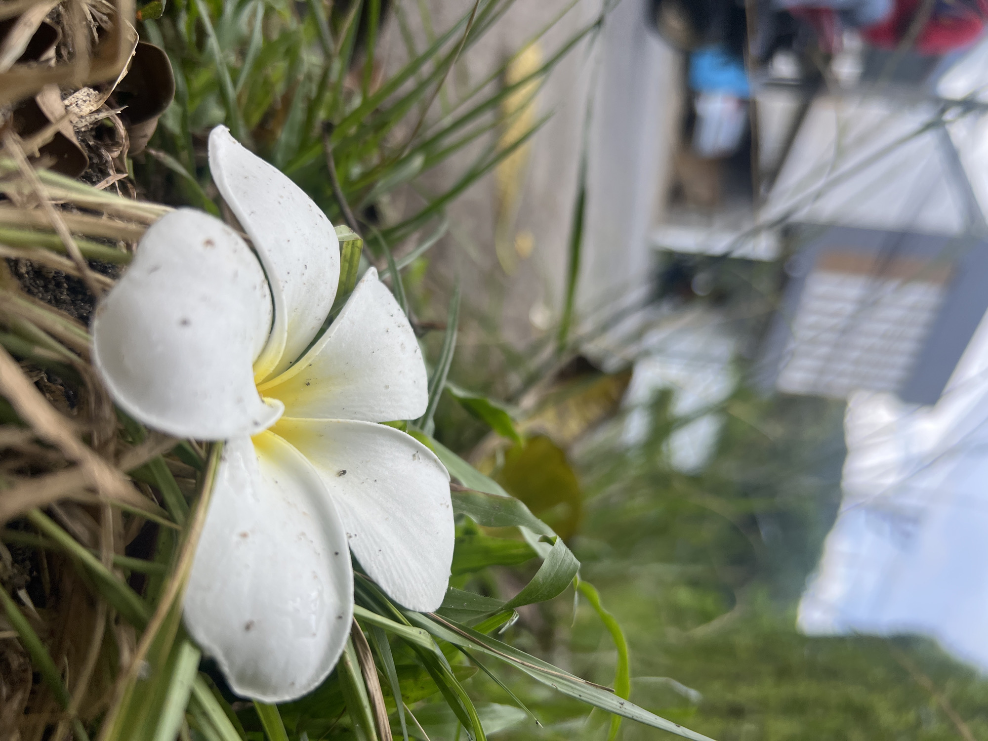 Early morning street life and local details in Choeng Thale