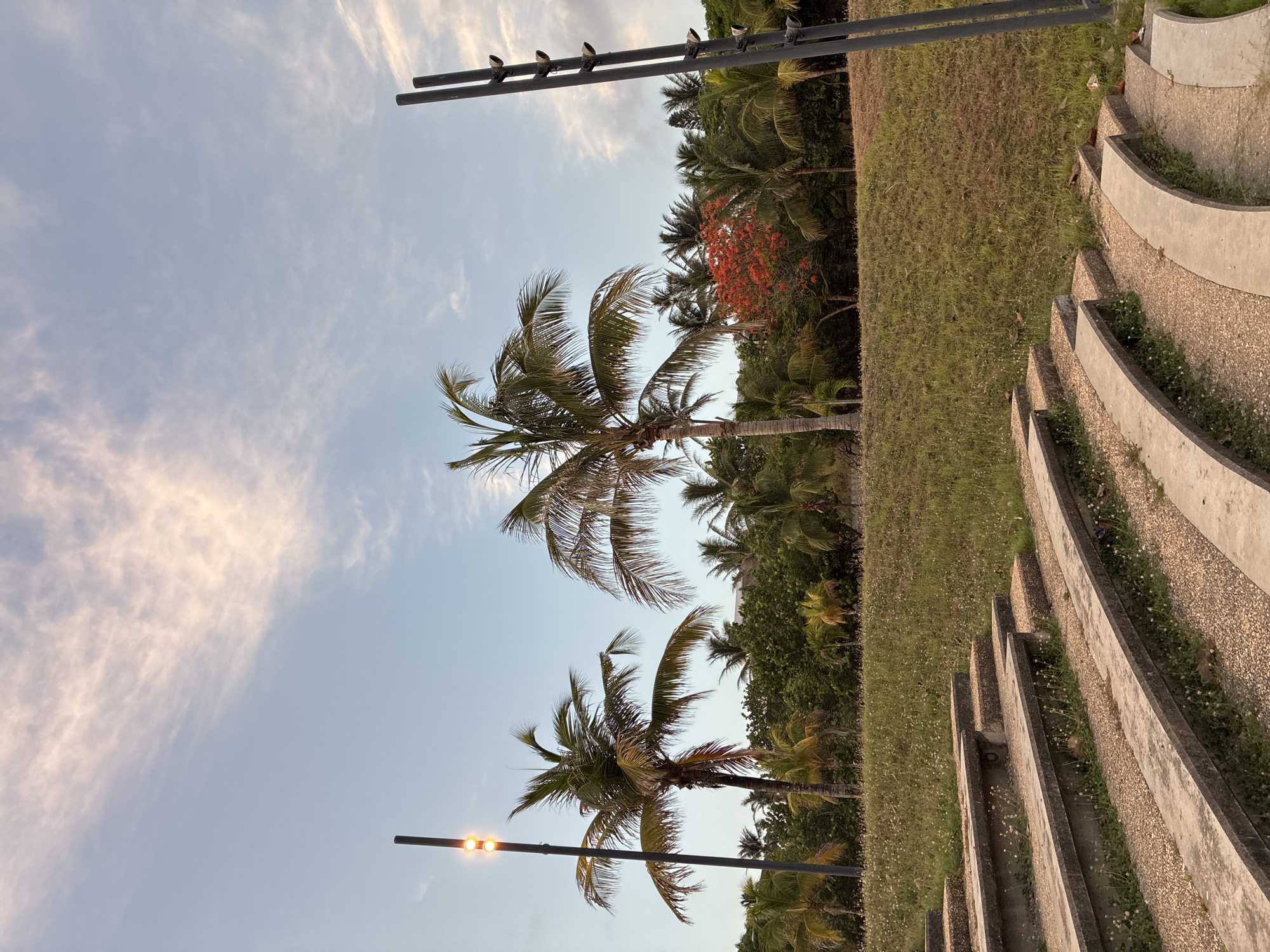 Sunset view captured at Coatzacoalcos amphitheater with palm trees
