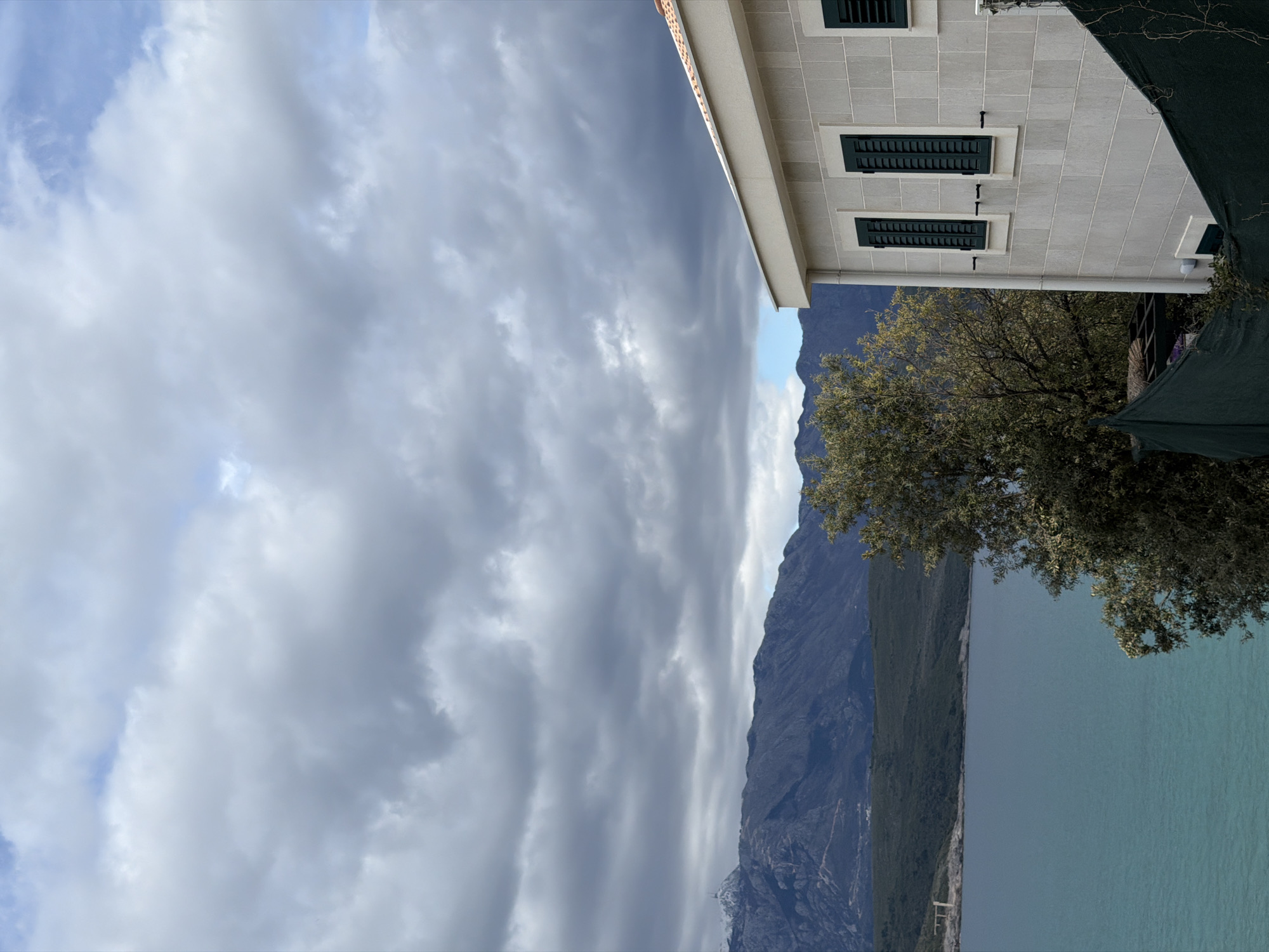 Chihuahua spotted at car windows overlooking Bay of Kotor