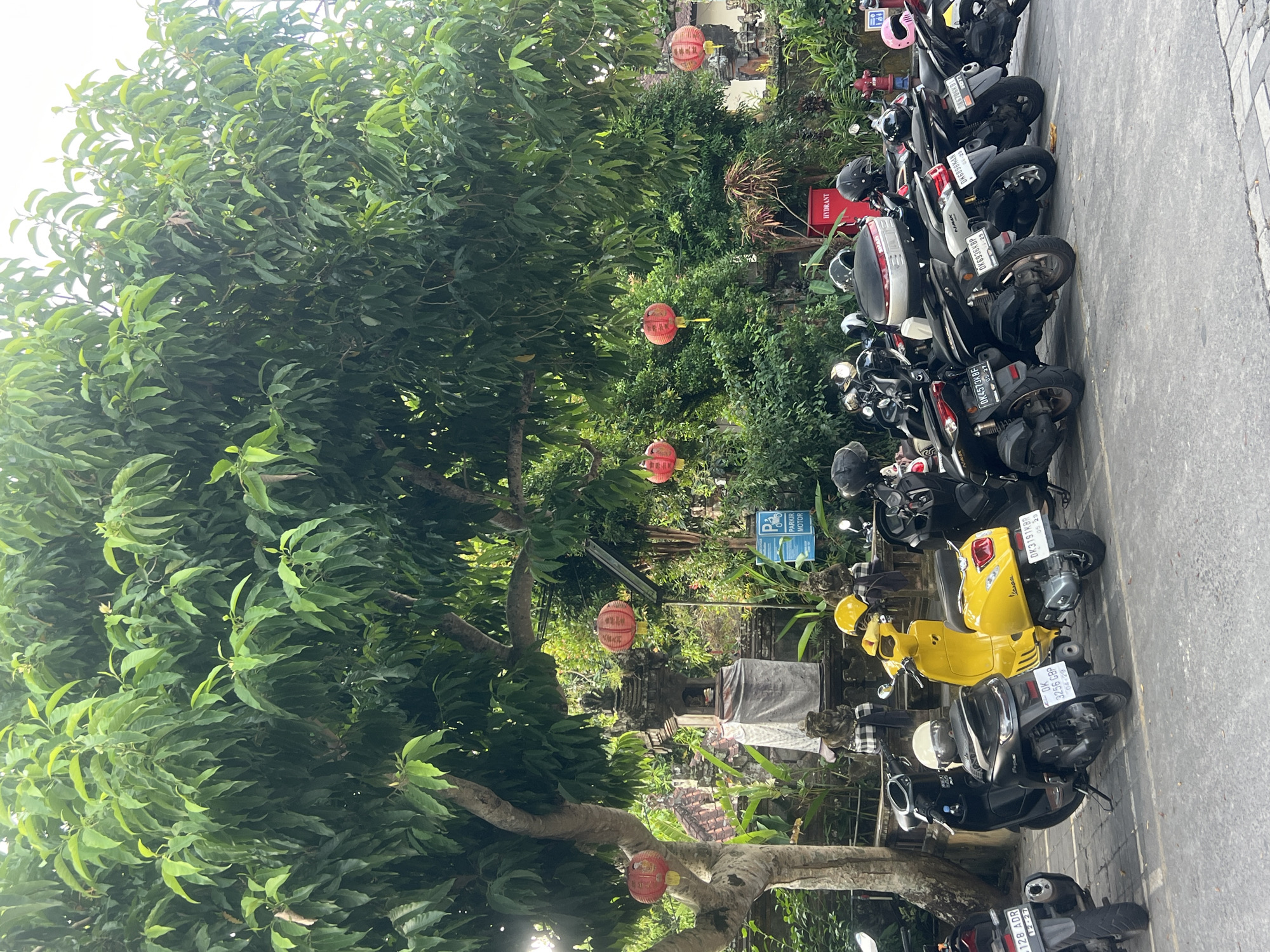Morning street life documented in Ubud District, Indonesia