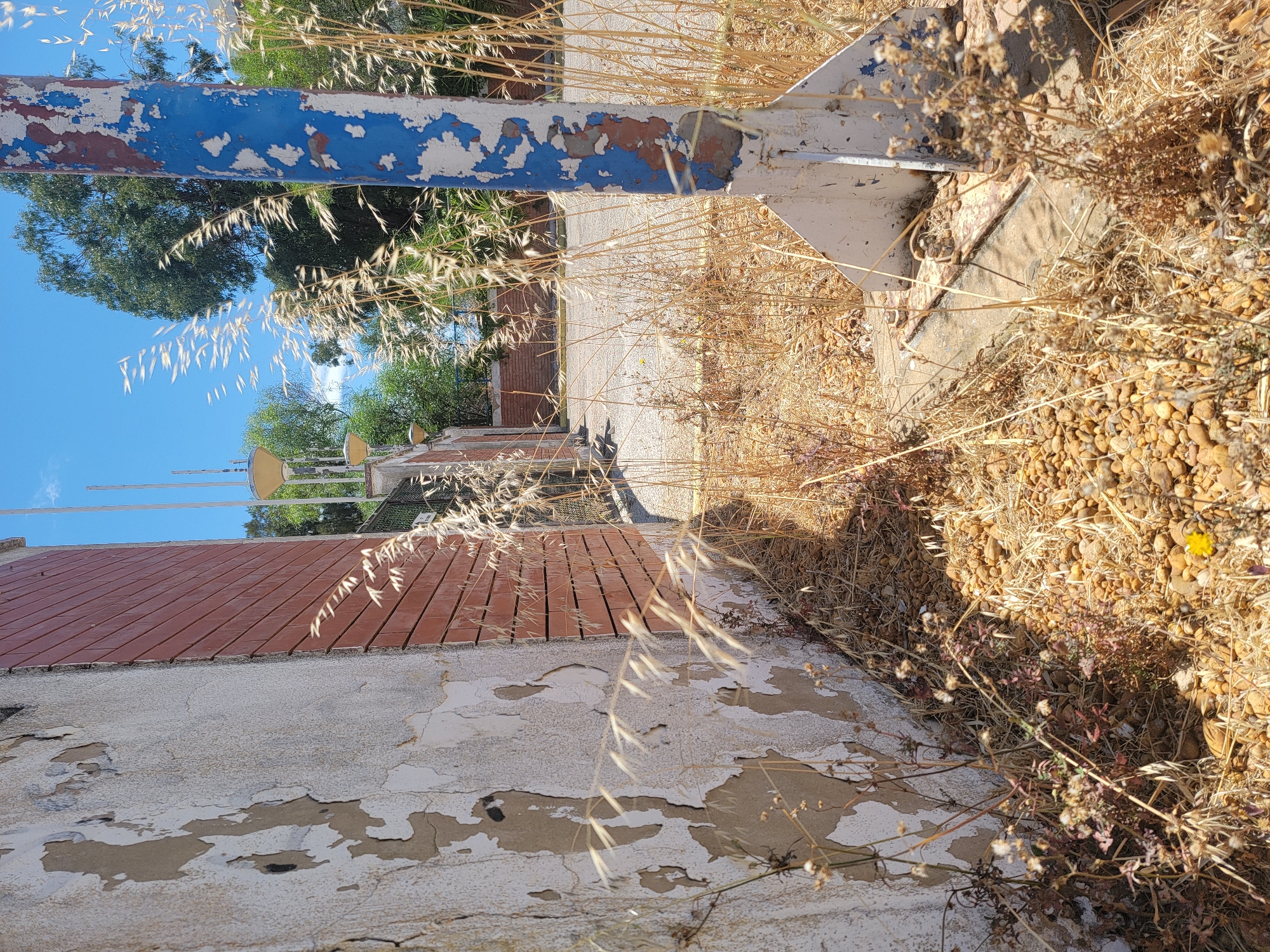 Street-level snapshots of Quarteira on a sunny summer morning