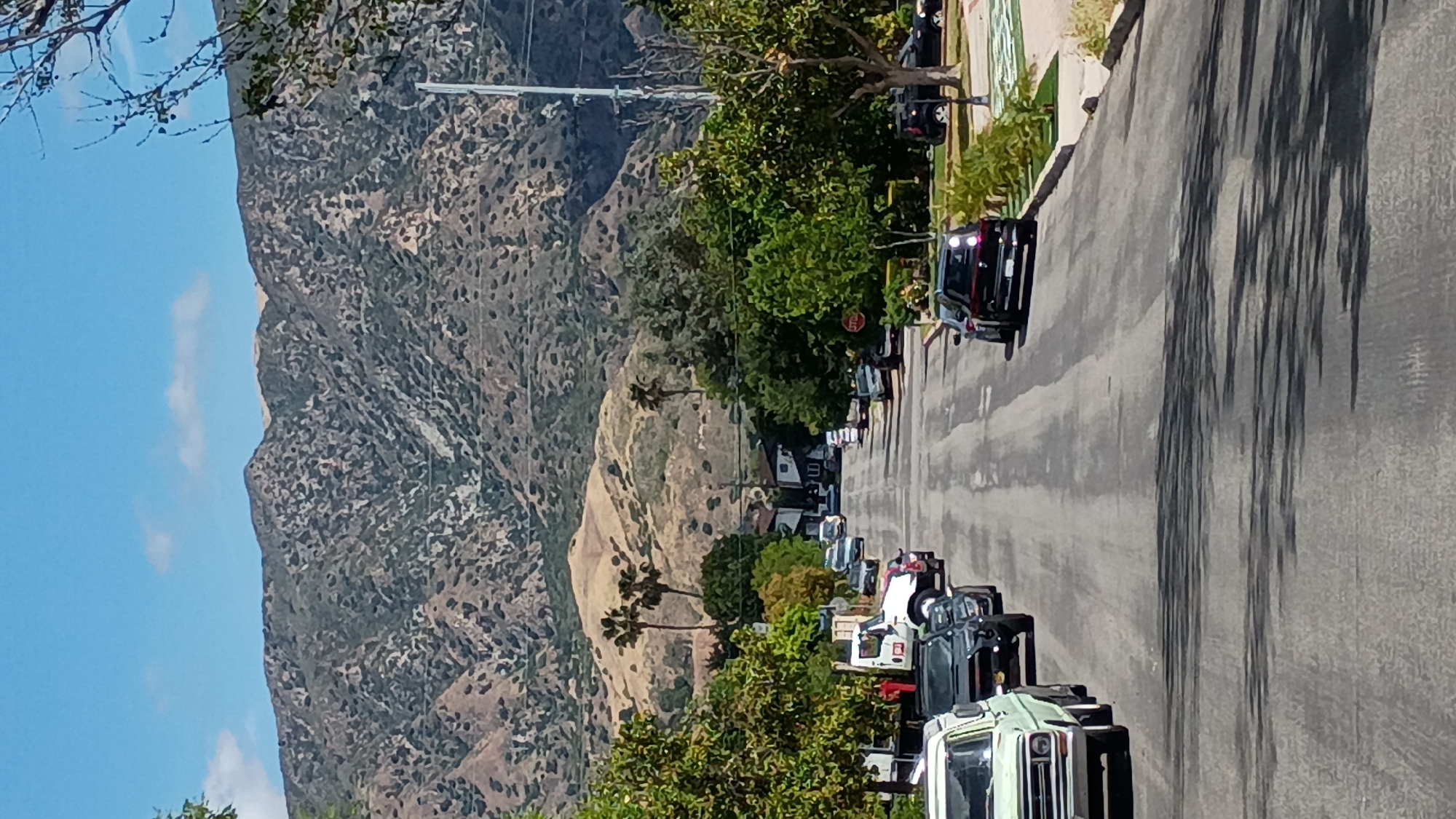 Peacock spotted roaming Hollywood Hills residential neighborhood