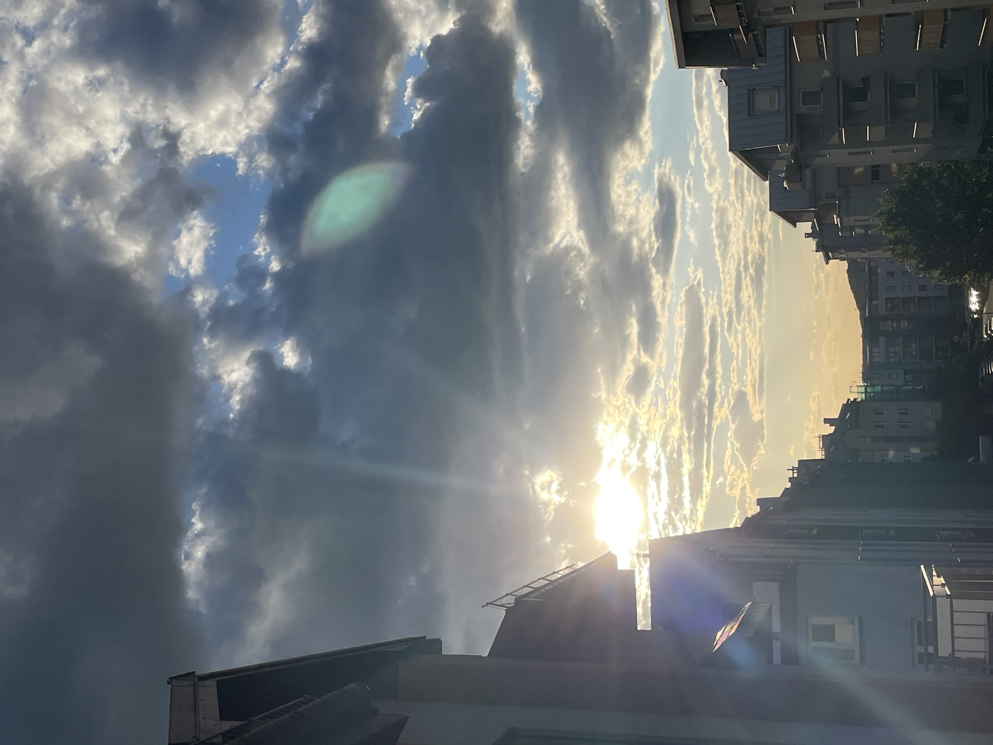 Urban sky watching and indoor cat moments documented