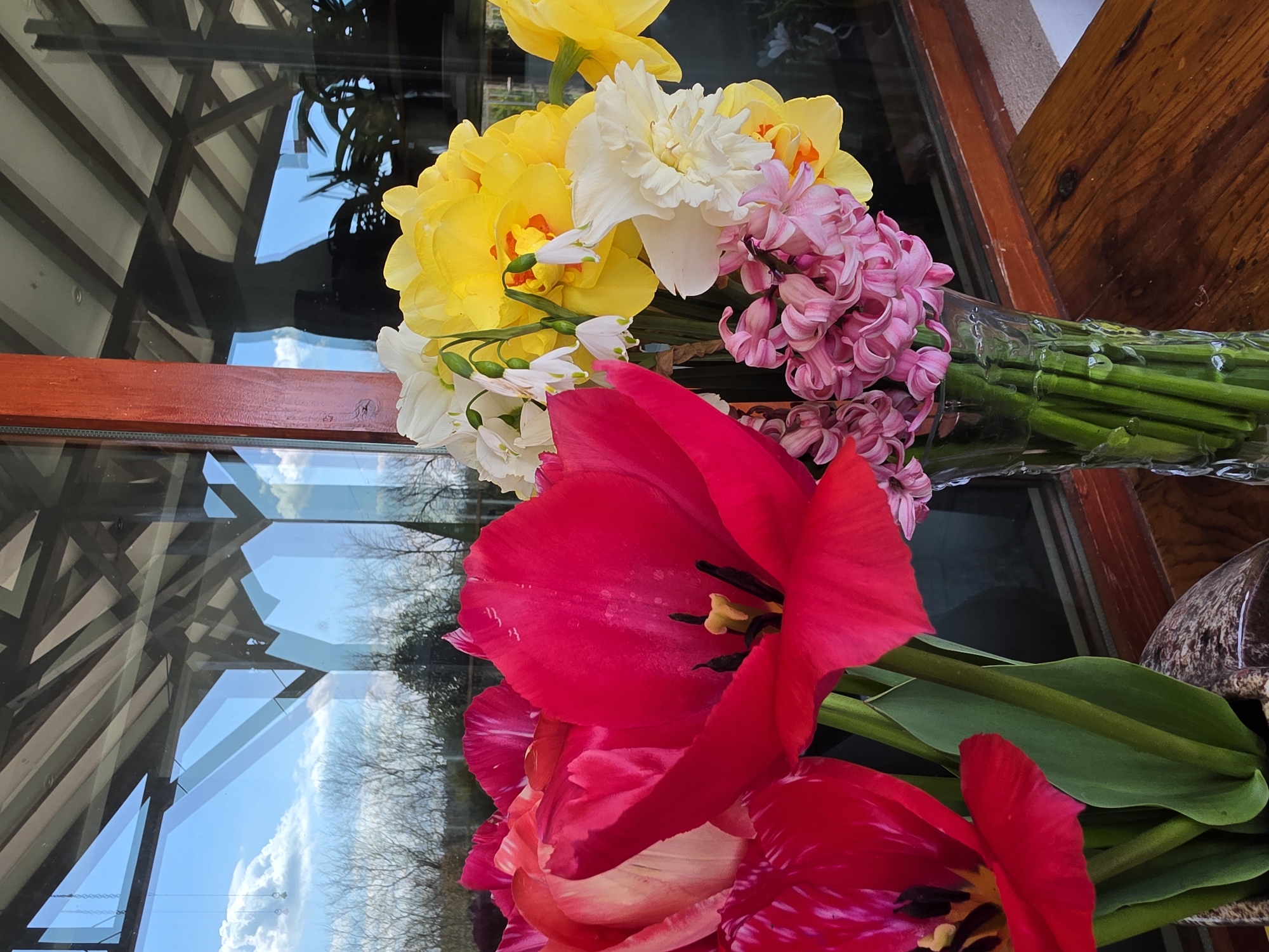 Floral still-life photograph captured in Haskovo, Bulgaria