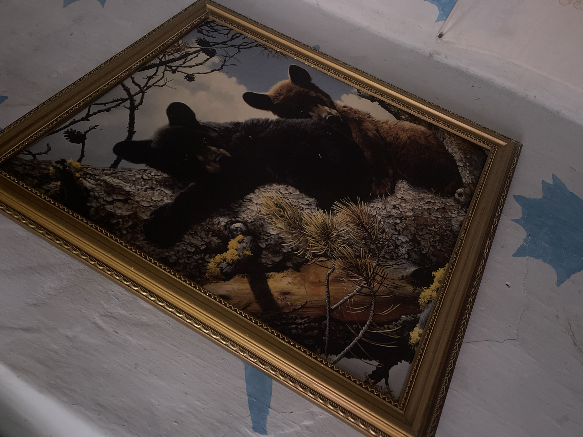 Eclectic objects and outdoor moments from a Tashkent afternoon