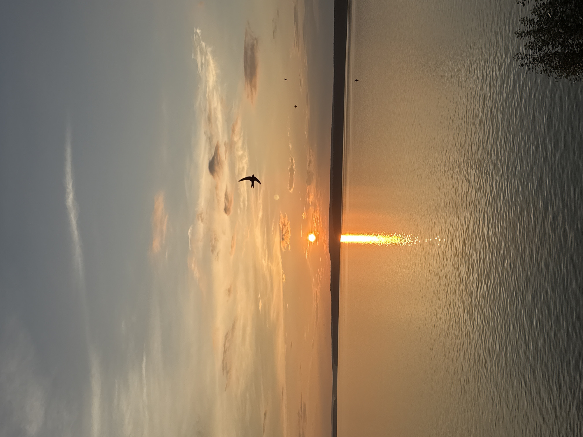 Sunset over the Votkinsk Reservoir, Russia