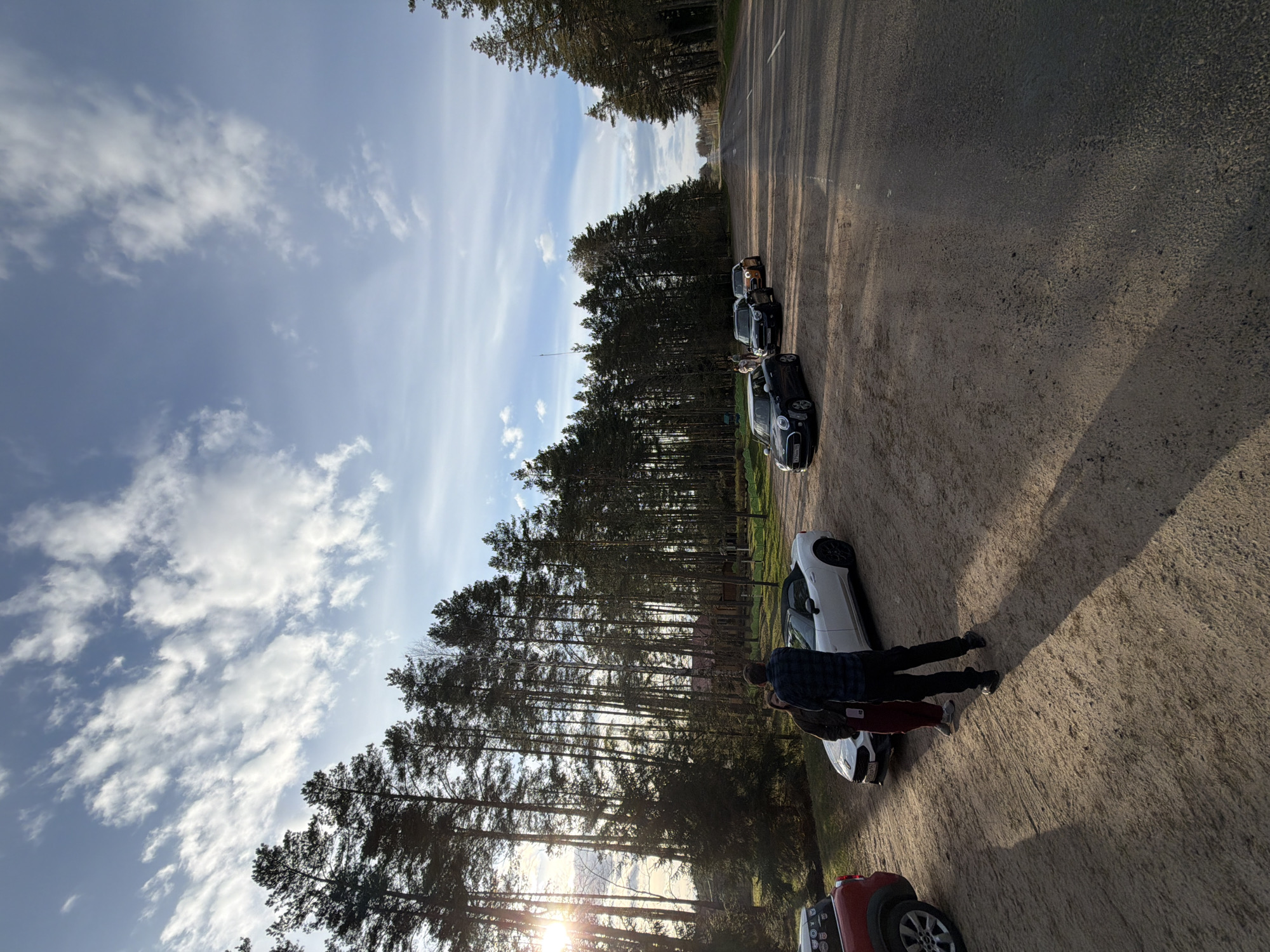 Rural Belarus road scene captured during late afternoon