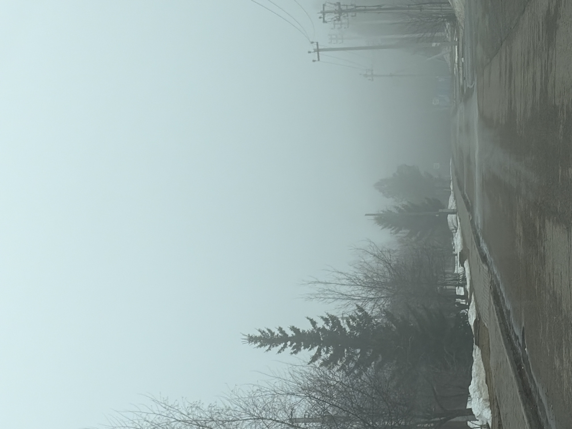 Foggy morning scenes documented in Прикамский, Russia