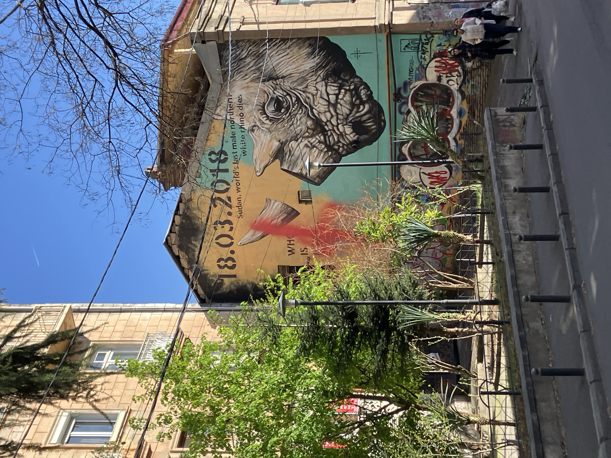 Witness captures eclectic street art and vintage finds across Tbilisi