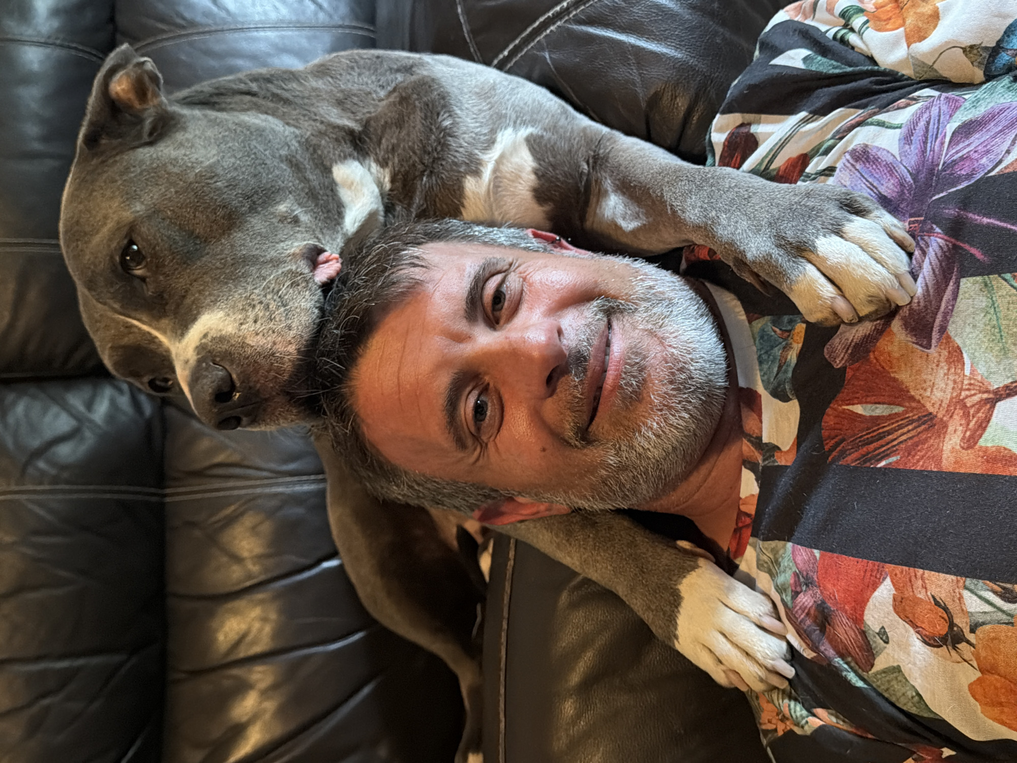 Man and pit bull share quiet moment on couch