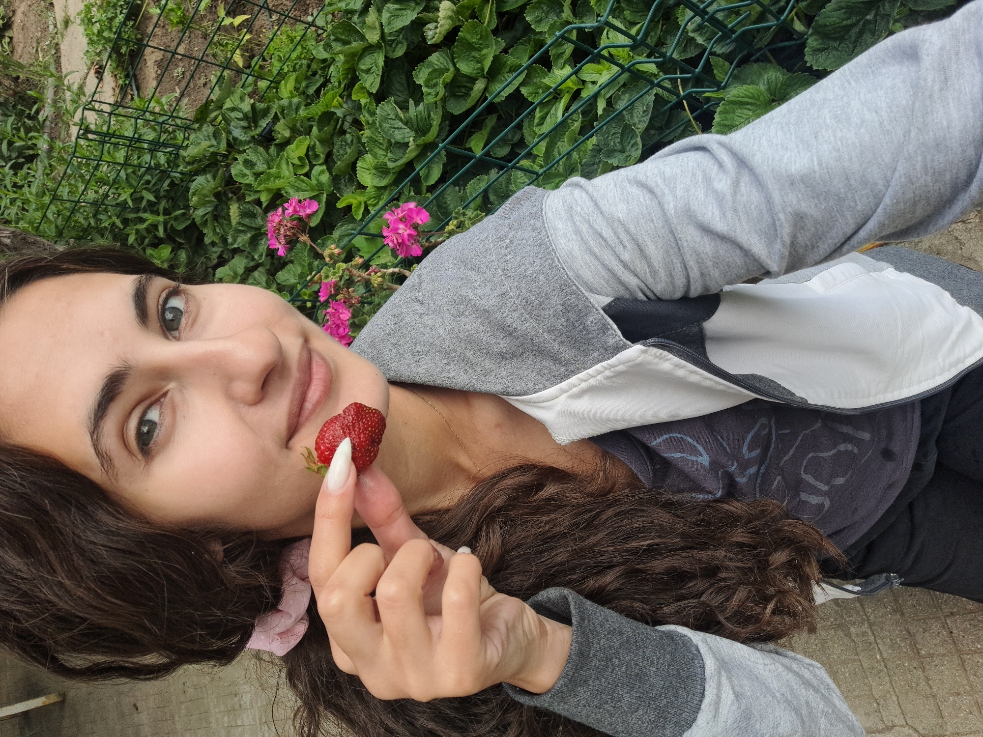 Woman picks strawberries, holds chocolate in Bulgarian village