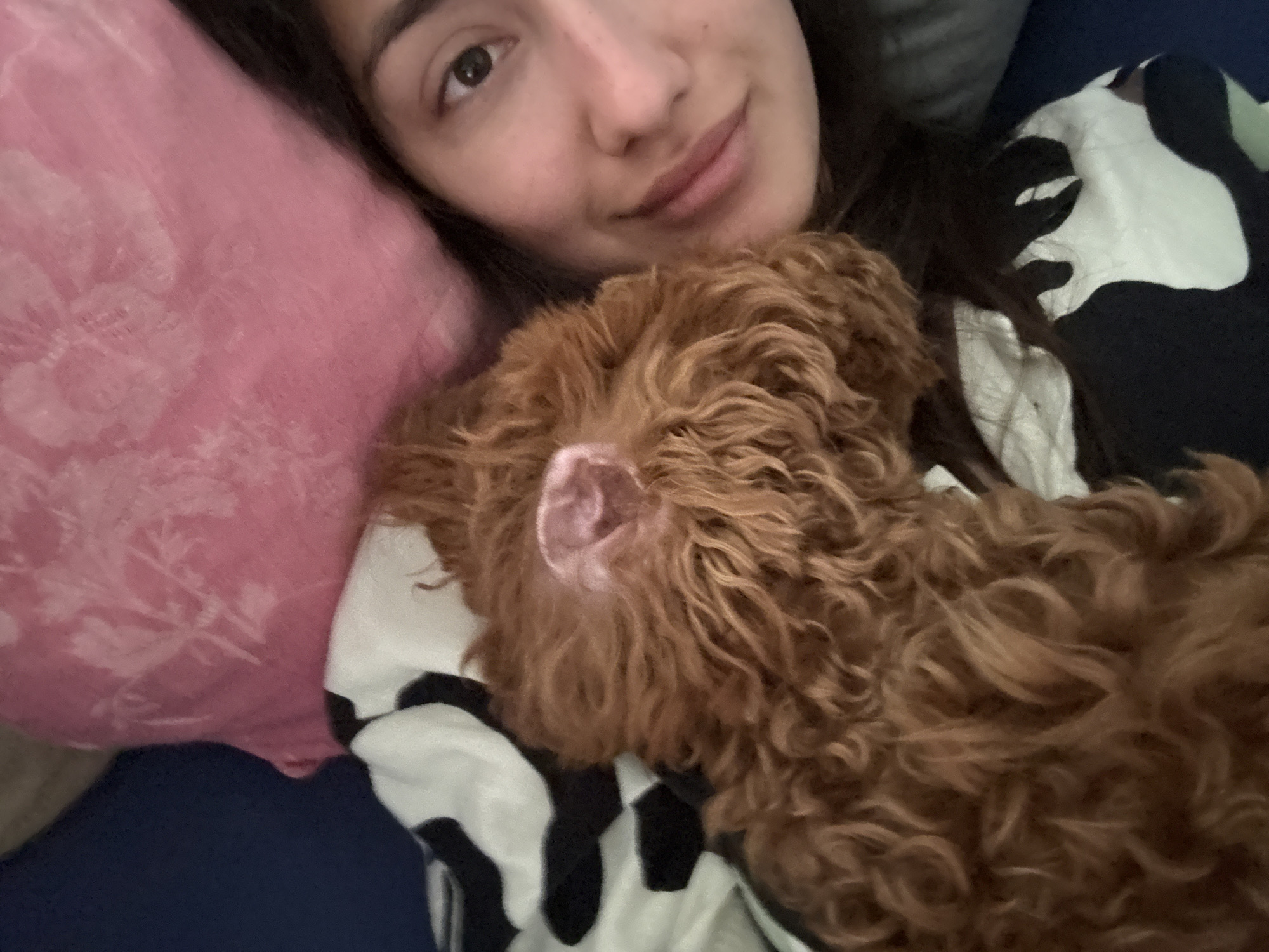 Woman shares quiet morning moment with small dog in Montenegro