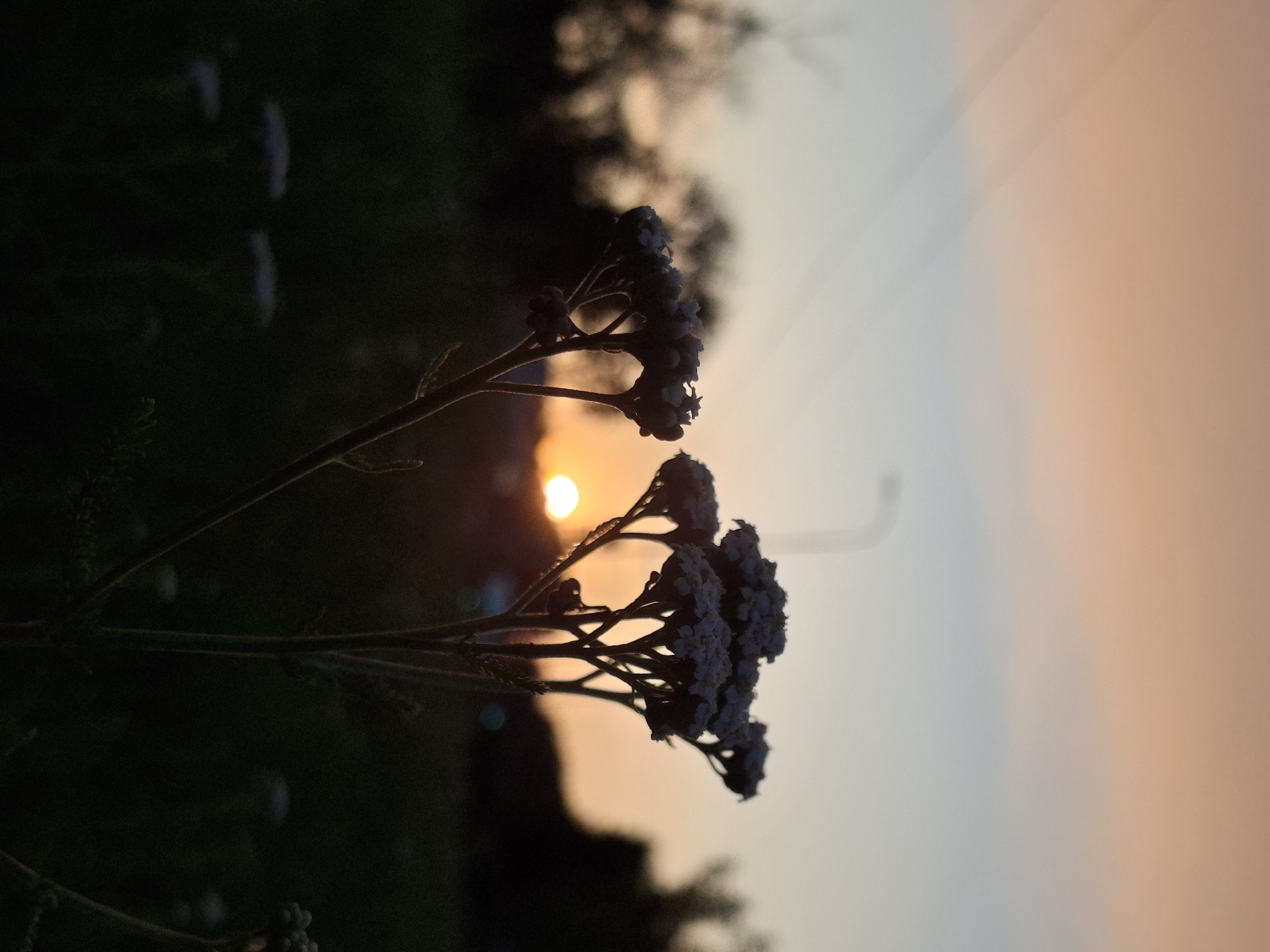 Golden hour wandering through Chaikovsky, portraits and landscapes