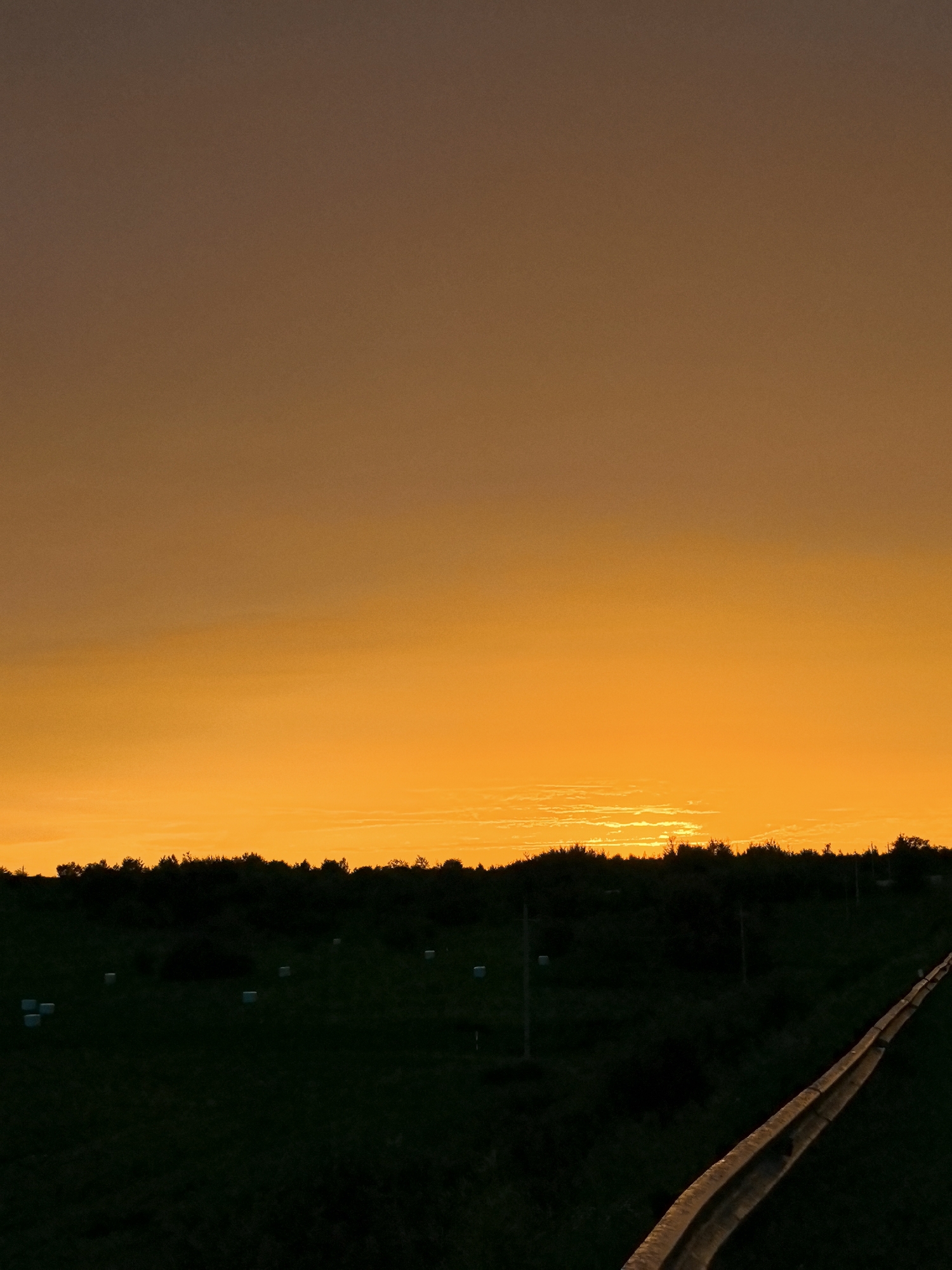 Sunset walk with a white dog near rural industrial outskirts