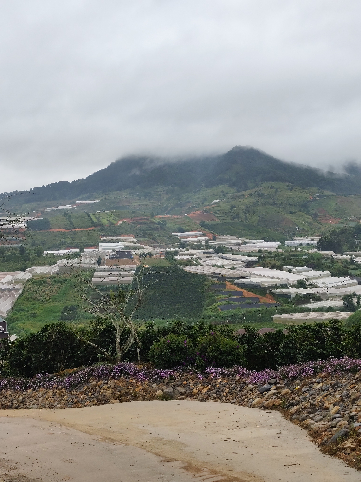 Exploring Lac Duong Hill's quirky hilltop attraction on a cloudy morning