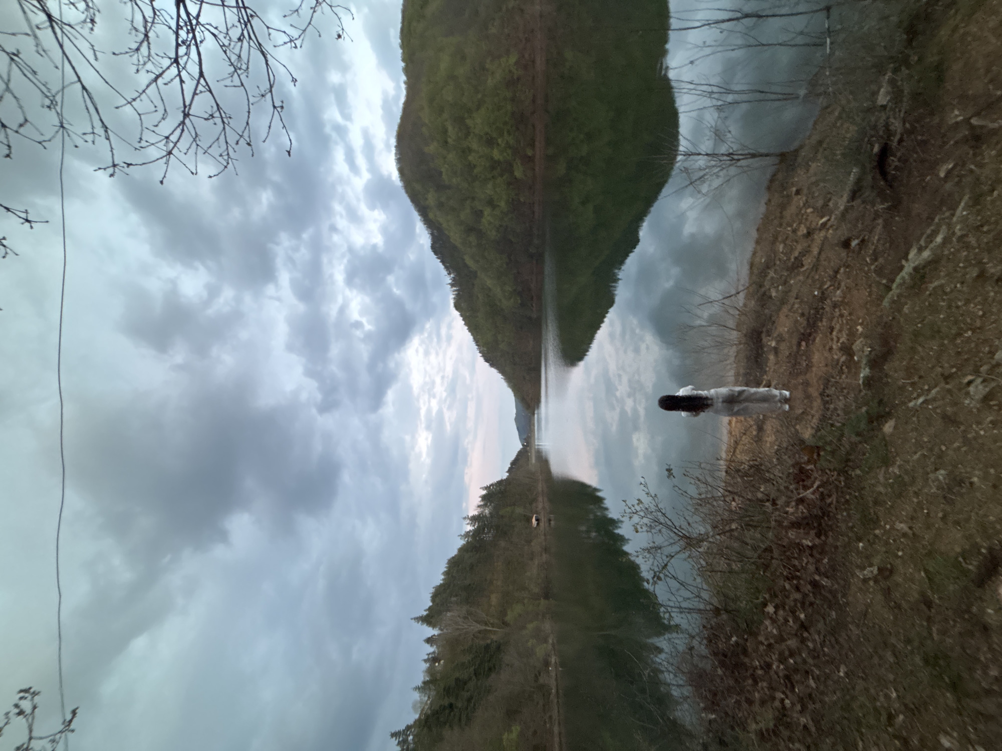Still waters create perfect reflections in Alamovtsi, Bulgaria