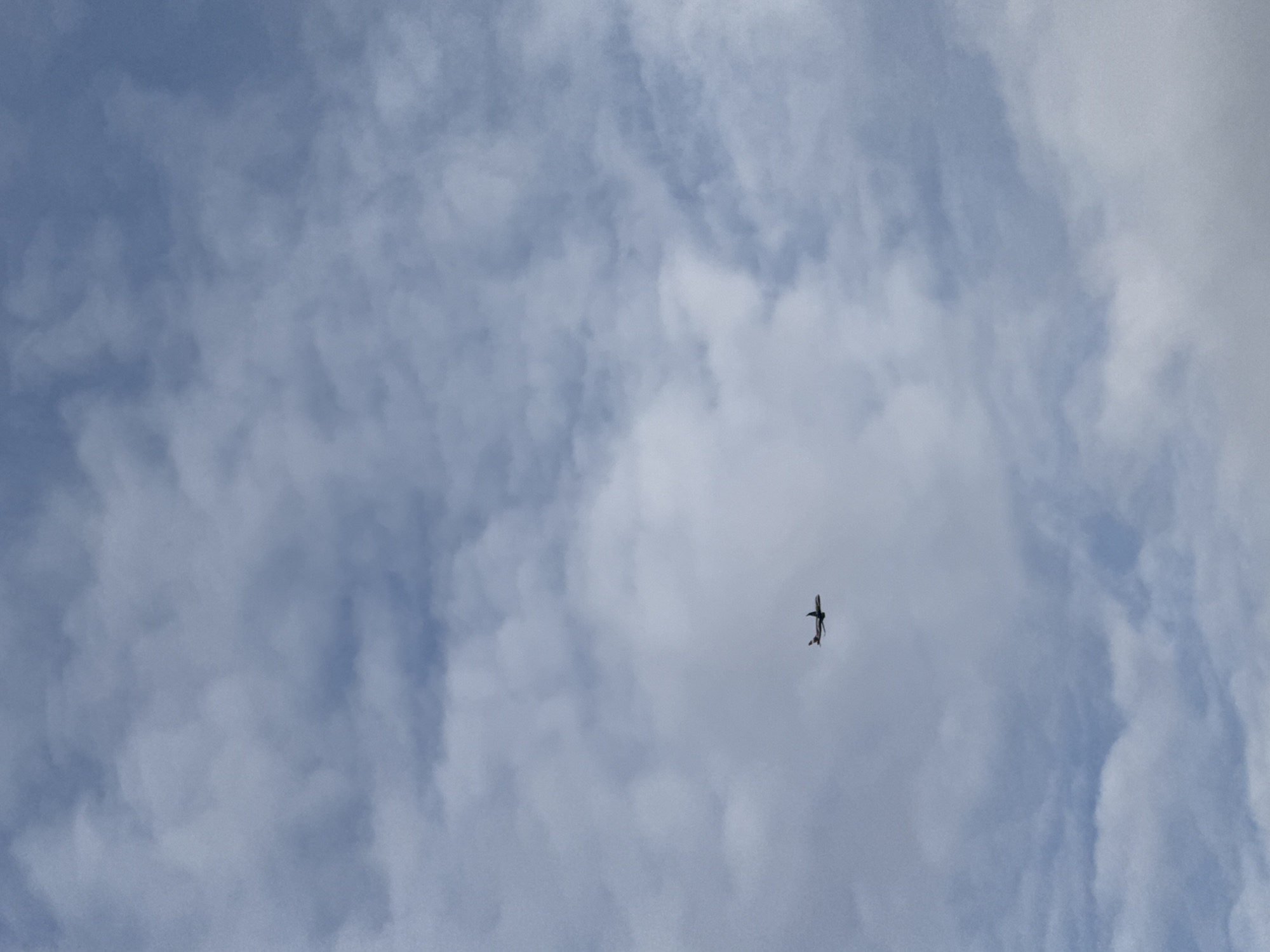 Aircraft spotted in morning skies over Riga, Latvia