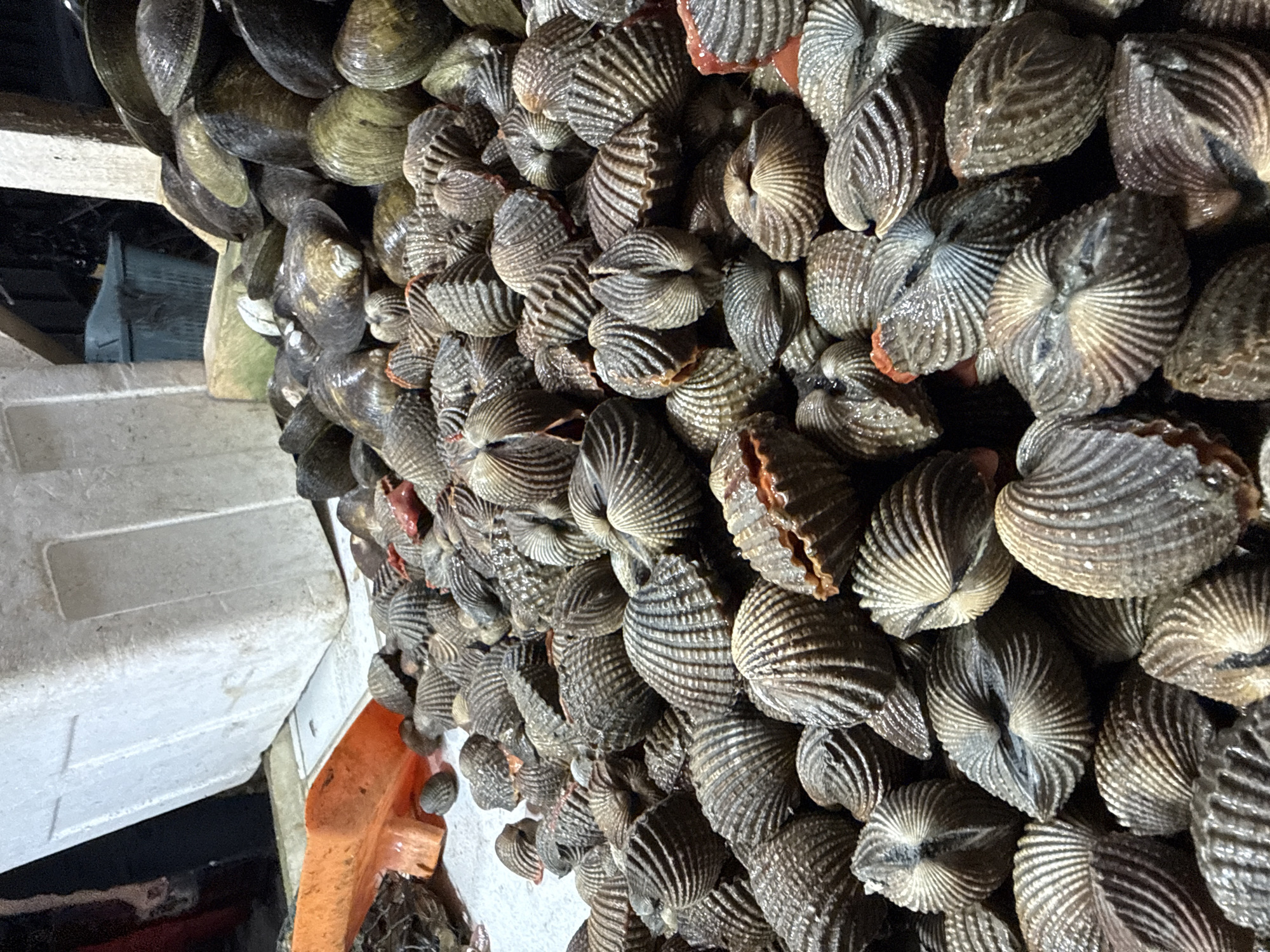 Night seafood market operates in Lhokseumawe, Indonesia