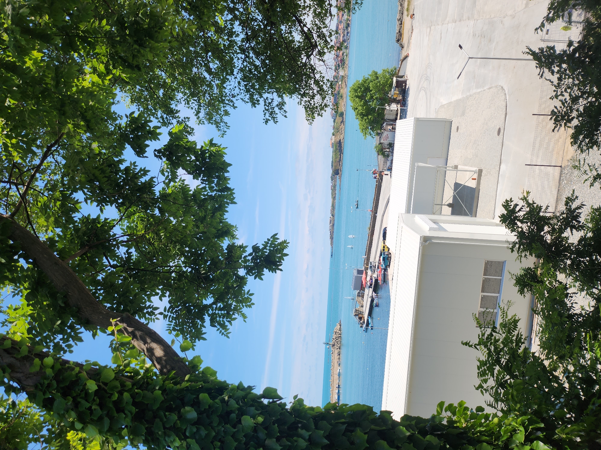 Tsarevo harbor through ivy-draped trees on a sunny June morning