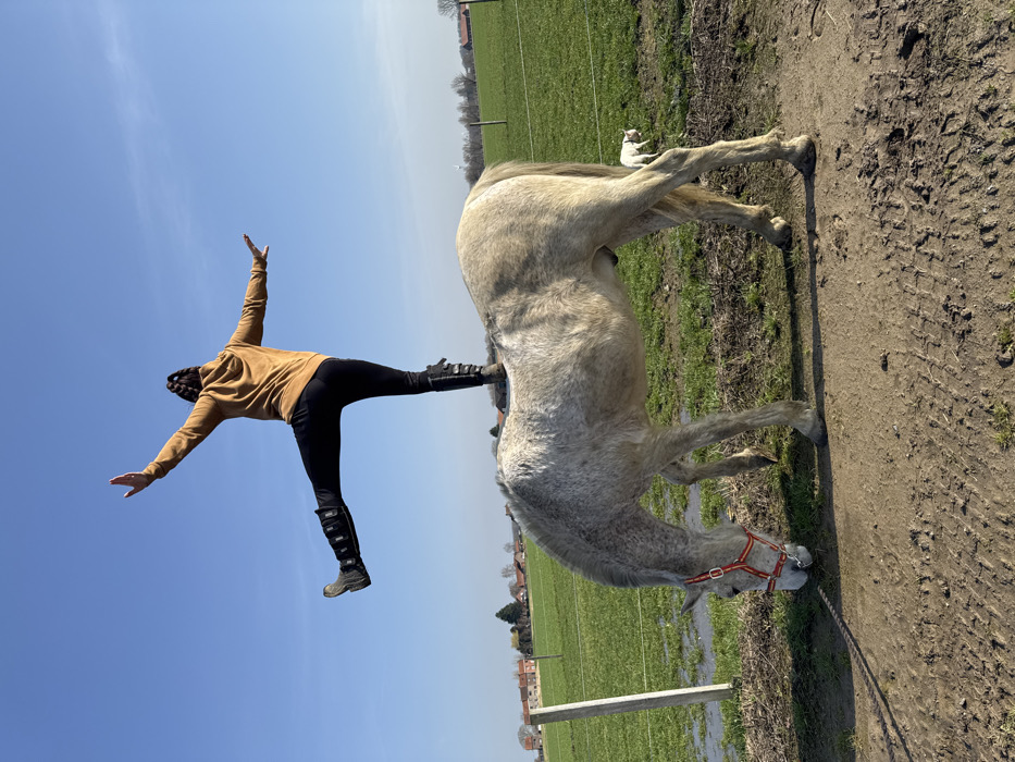 Person performs balancing act on horse in Estaimpuis, Belgium