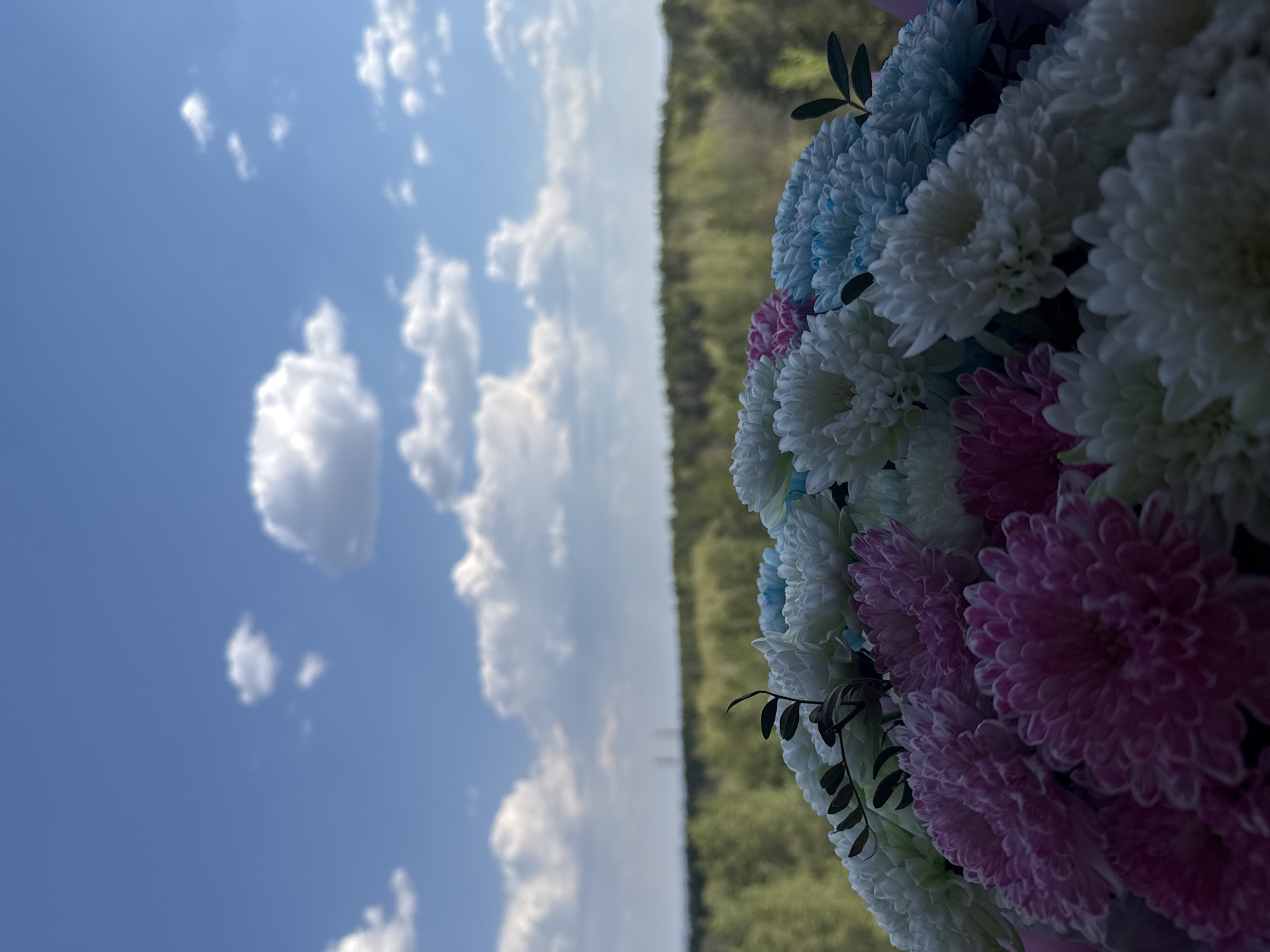 Everyday moments captured across Chaikovsky during sunny morning
