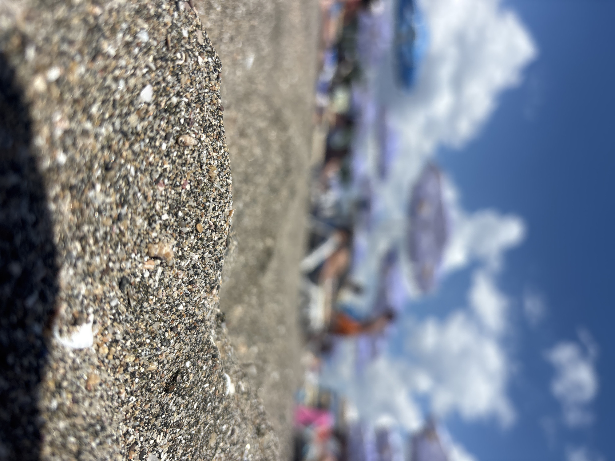 Beach day with umbrellas and loungers on dark sand