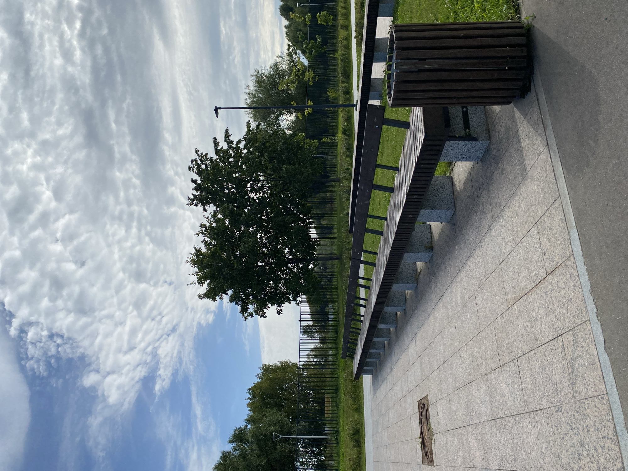 Summer morning in a Moscow park, paths and greenery