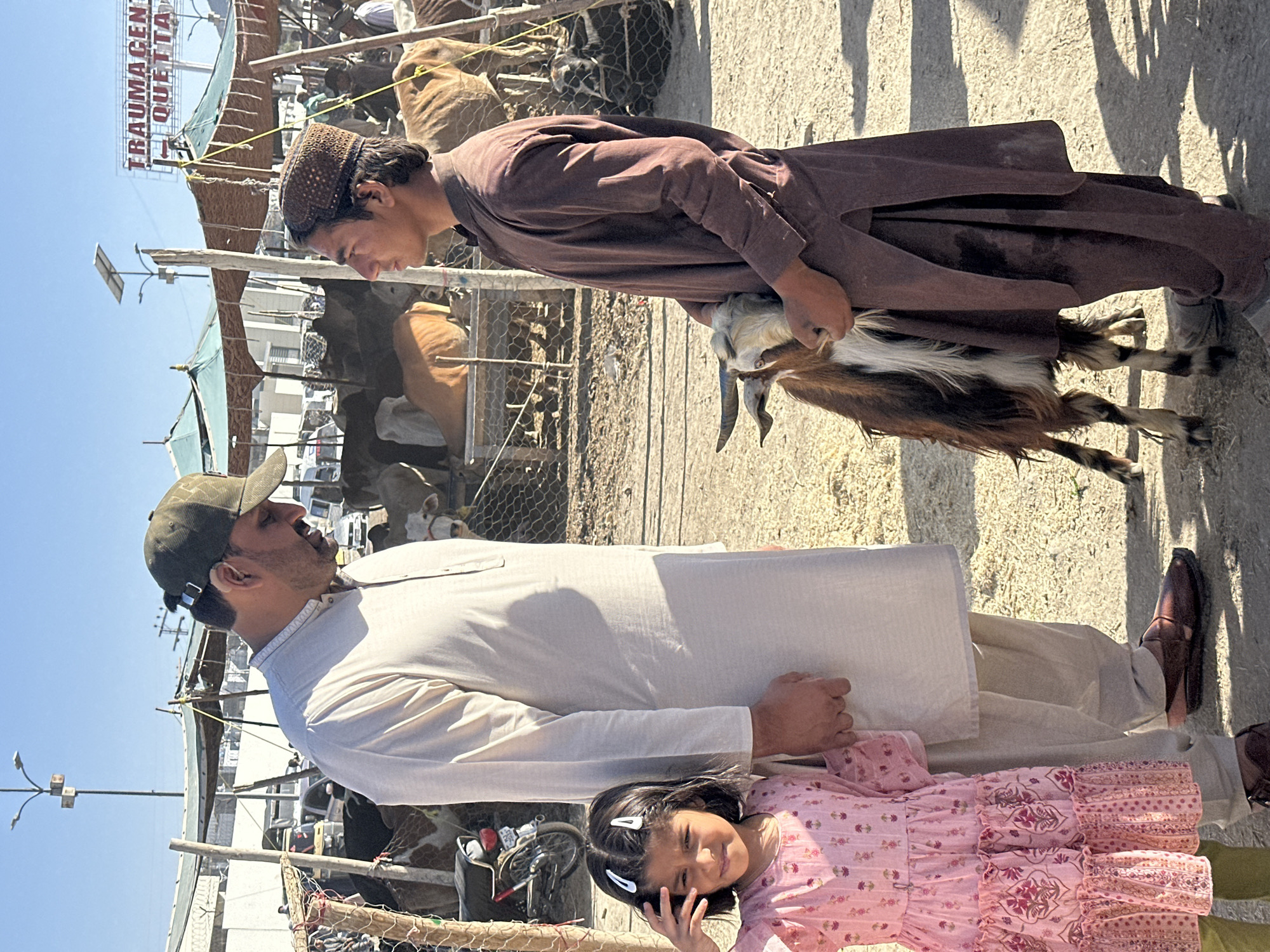 Livestock market bustles with goat, cattle trading in Quetta