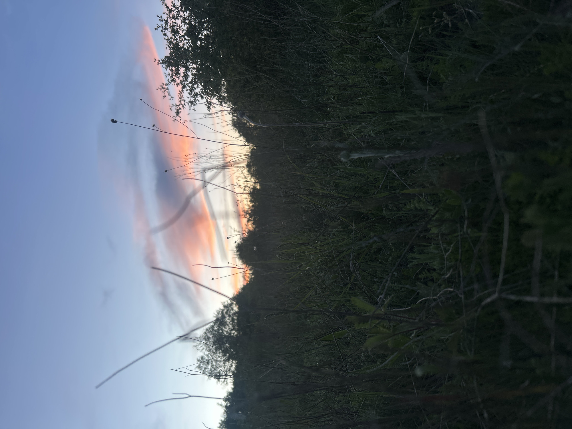 Rural roadside picnic and scenic drive captured during twilight