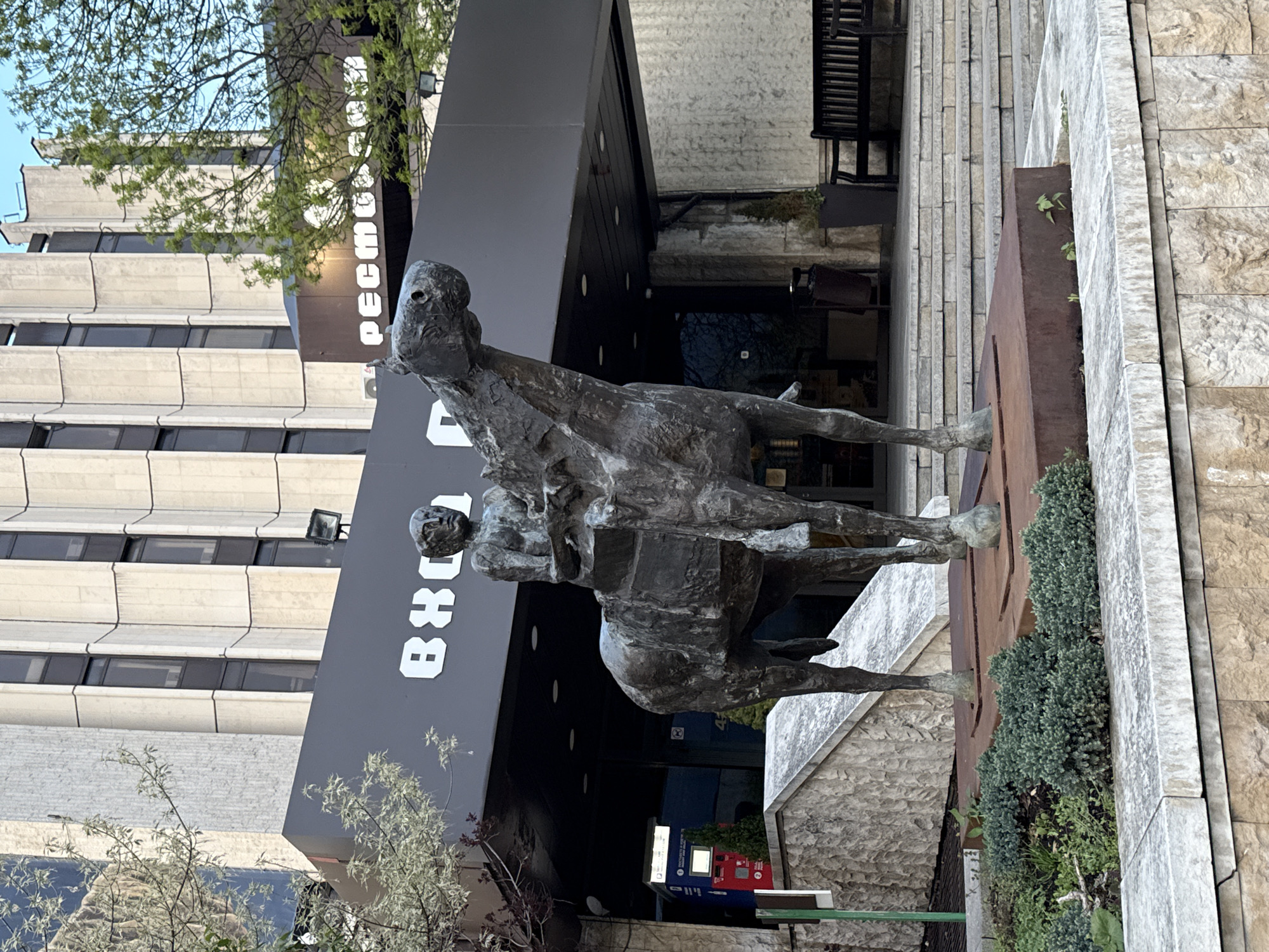 Evening scenes documented across Sofia including sculptures, markets, driving